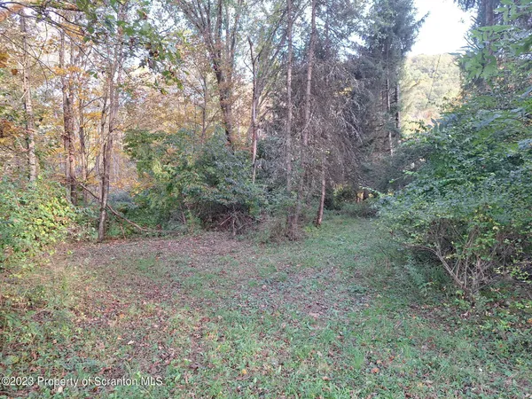 a view of a forest with trees in the background