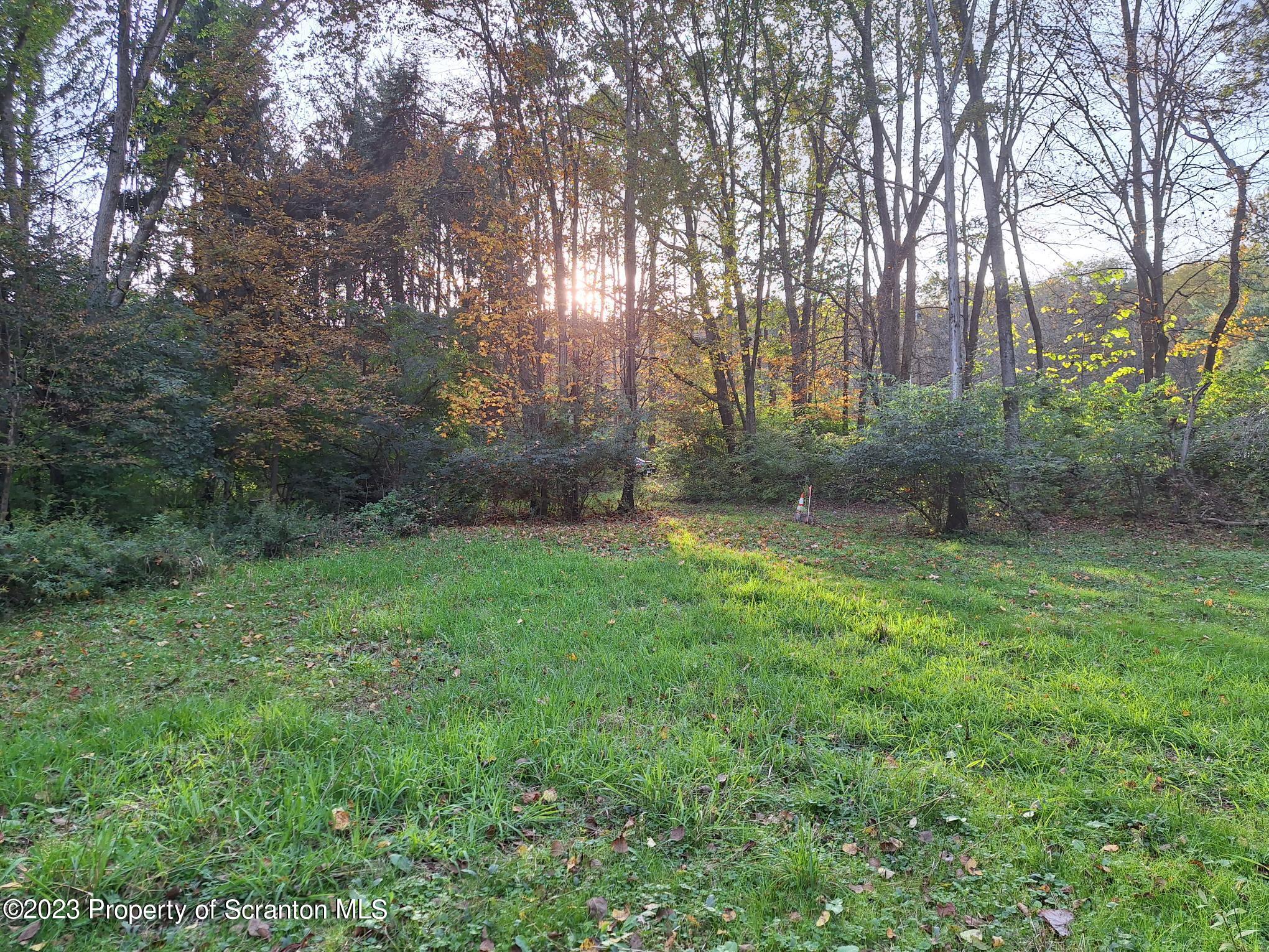 916 Creek Road Nicholson, PA 18446 - Photo 3 of 10 a view of a backyard