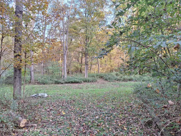 a view of a large yard with lots of green space