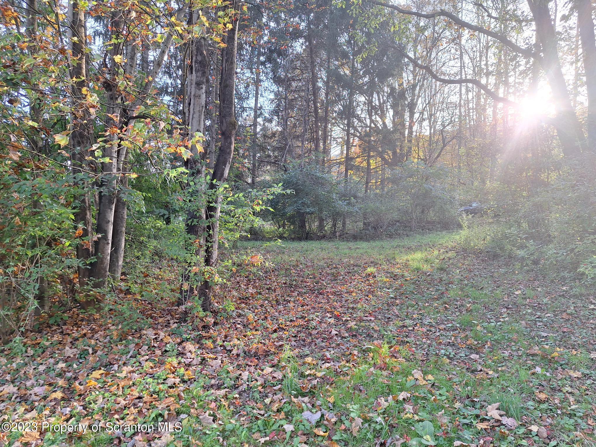 916 Creek Road Nicholson, PA 18446 - Photo 5 of 10 a view of a yard with plants and trees