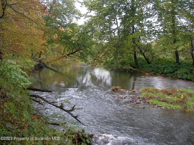 a view of a lake with a tree