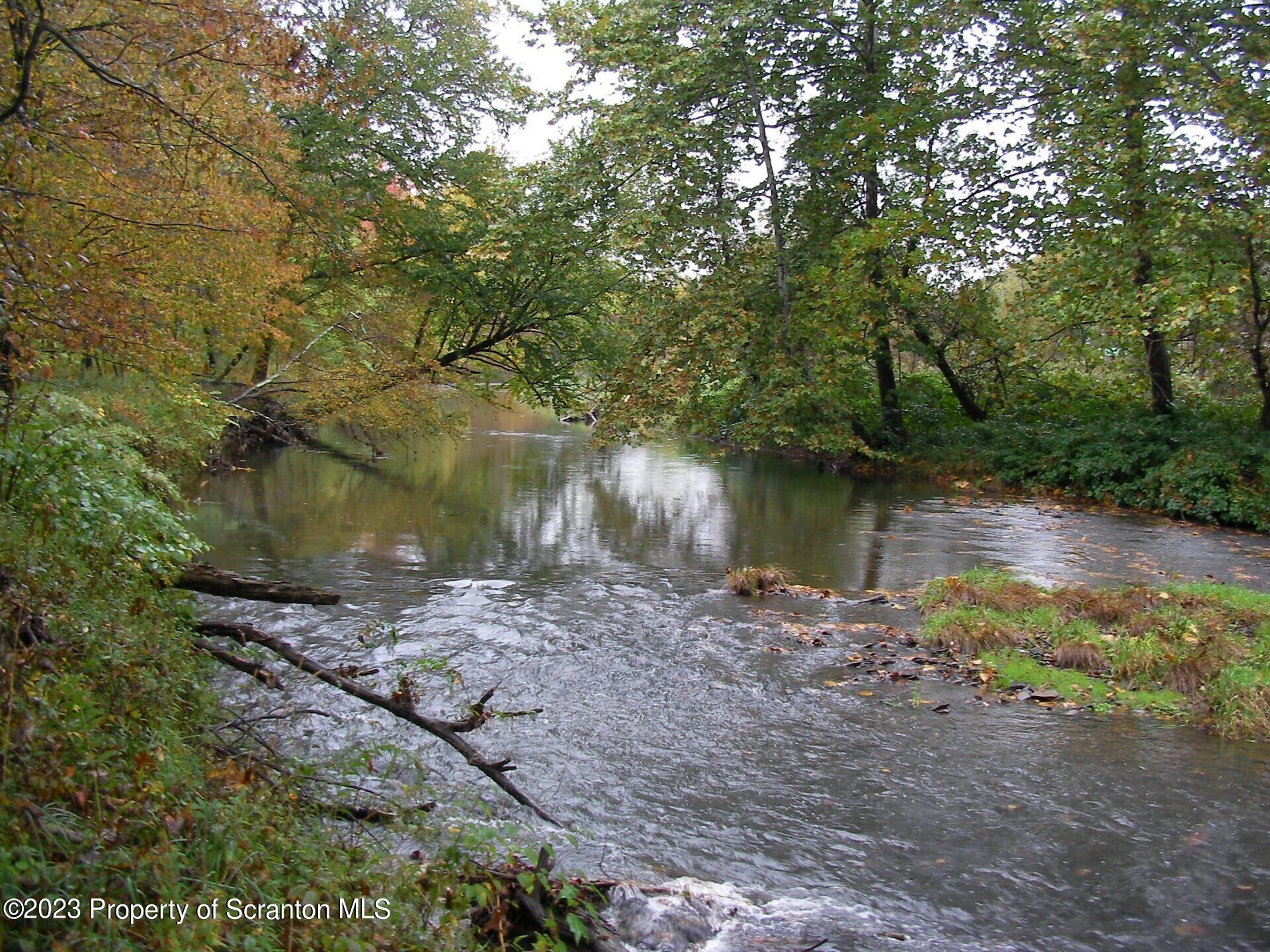 916 Creek Road Nicholson, PA 18446 - Photo 9 of 10 a view of a lake with a tree