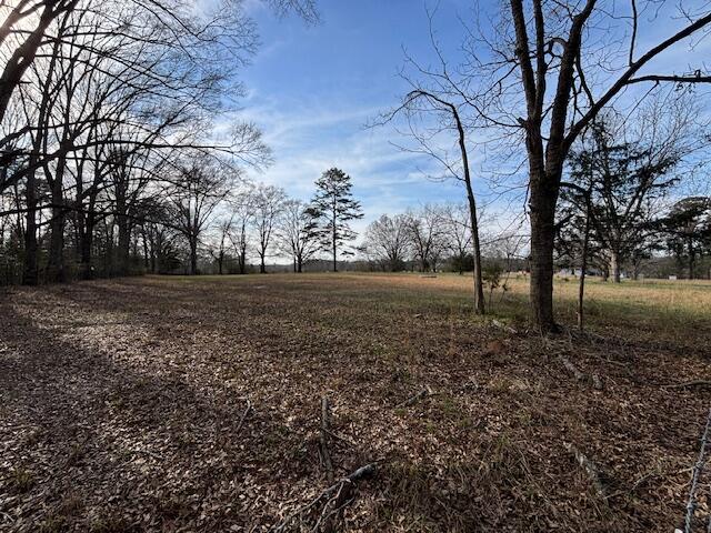 0 Southeast Barnett Road Crawfordville, GA 30631 - Photo 23 of 37 IMG_7268
