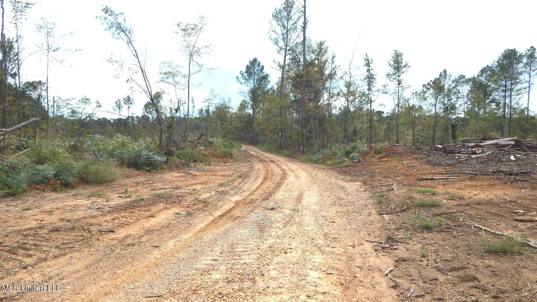 31 811th Road Tillatoba, MS 38961 - Photo 11 of 23 DSCN6062