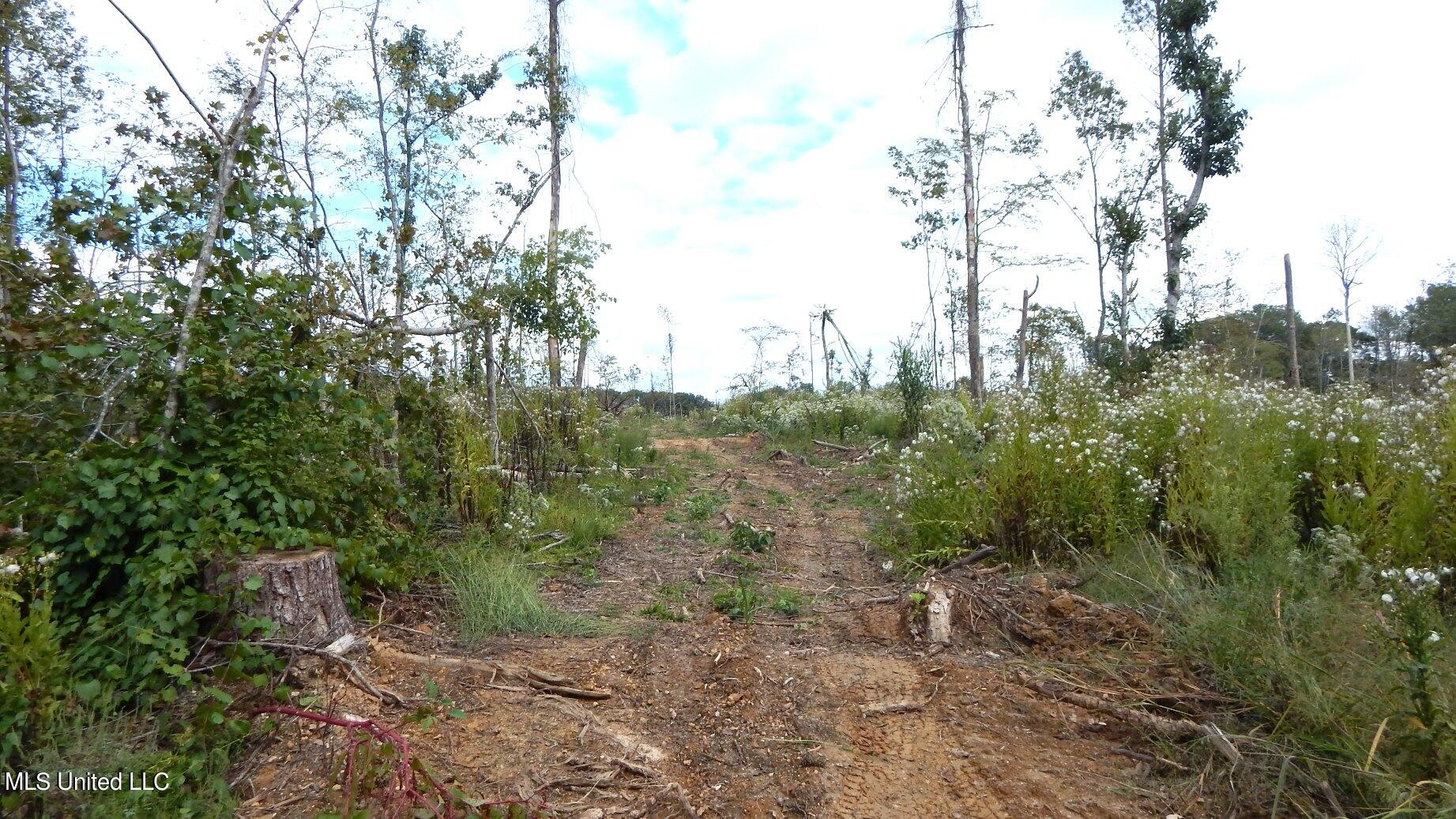 31 811th Road Tillatoba, MS 38961 - Photo 13 of 23 DSCN6066