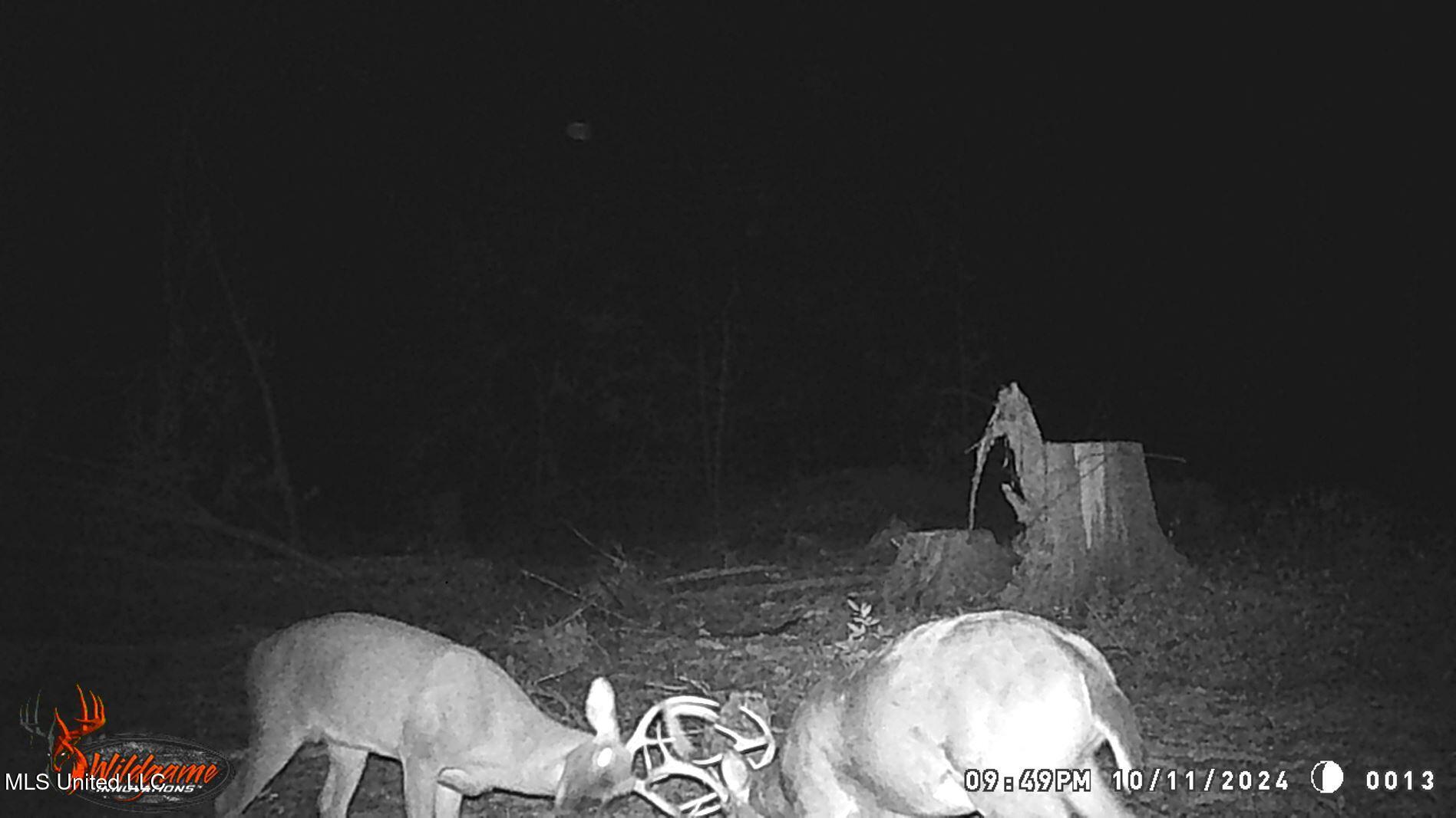 31 811th Road Tillatoba, MS 38961 - Photo 17 of 23 WGI_0013