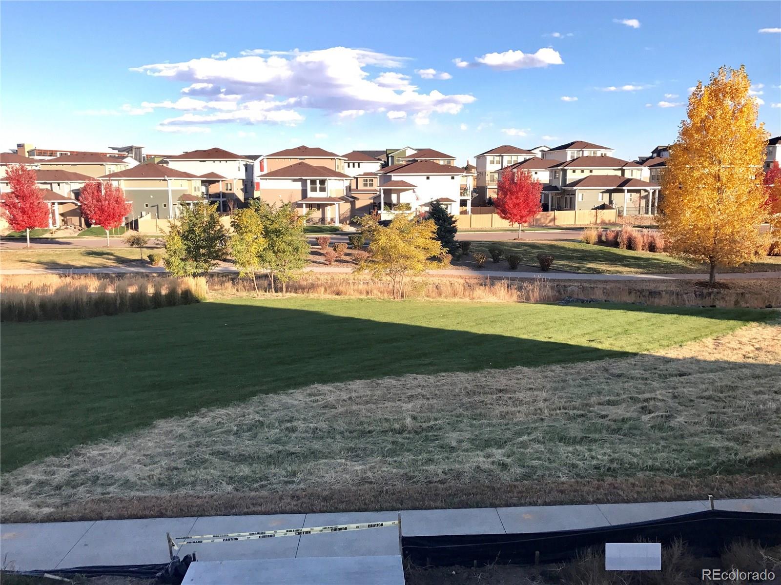 4378 Fell Mist Way Castle Rock, CO 80109 - Photo 13 of 18