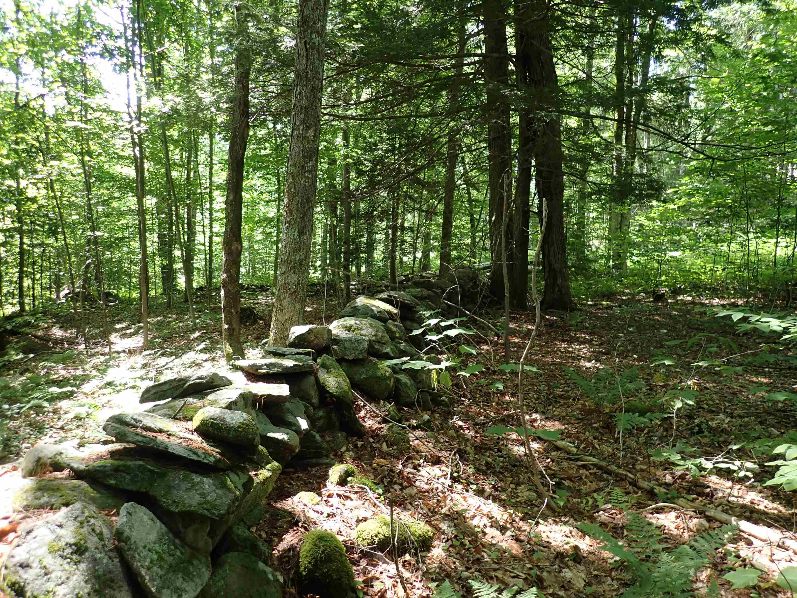 0 Schoolhouse Road Jamaica, VT 05343 - Photo 7 of 20 Gallery Image 7