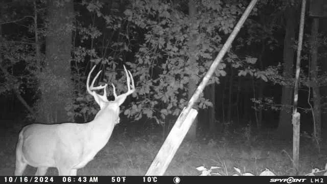 $1,150,000 | 20585 North Highway 146, Liberty, TX 77575