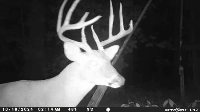 $1,150,000 | 20585 North Highway 146, Liberty, TX 77575