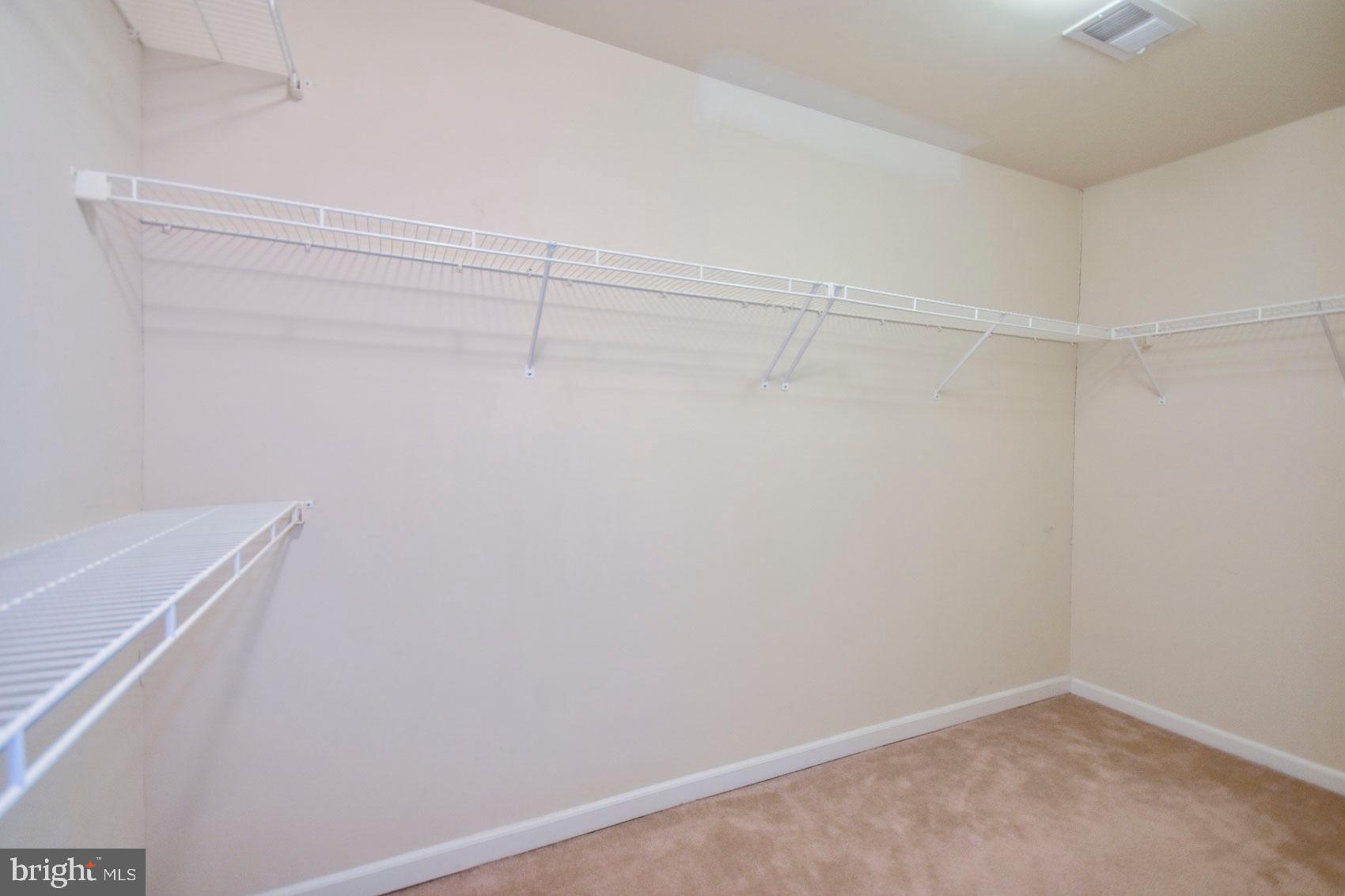 32 Lullwater Way Falling Waters, WV 25419 - Photo 22 of 37 master walk in closet