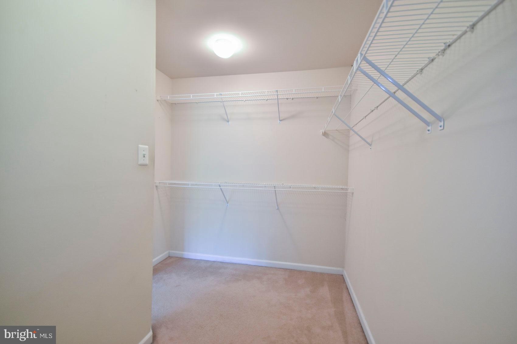 32 Lullwater Way Falling Waters, WV 25419 - Photo 23 of 37 master walk in closet