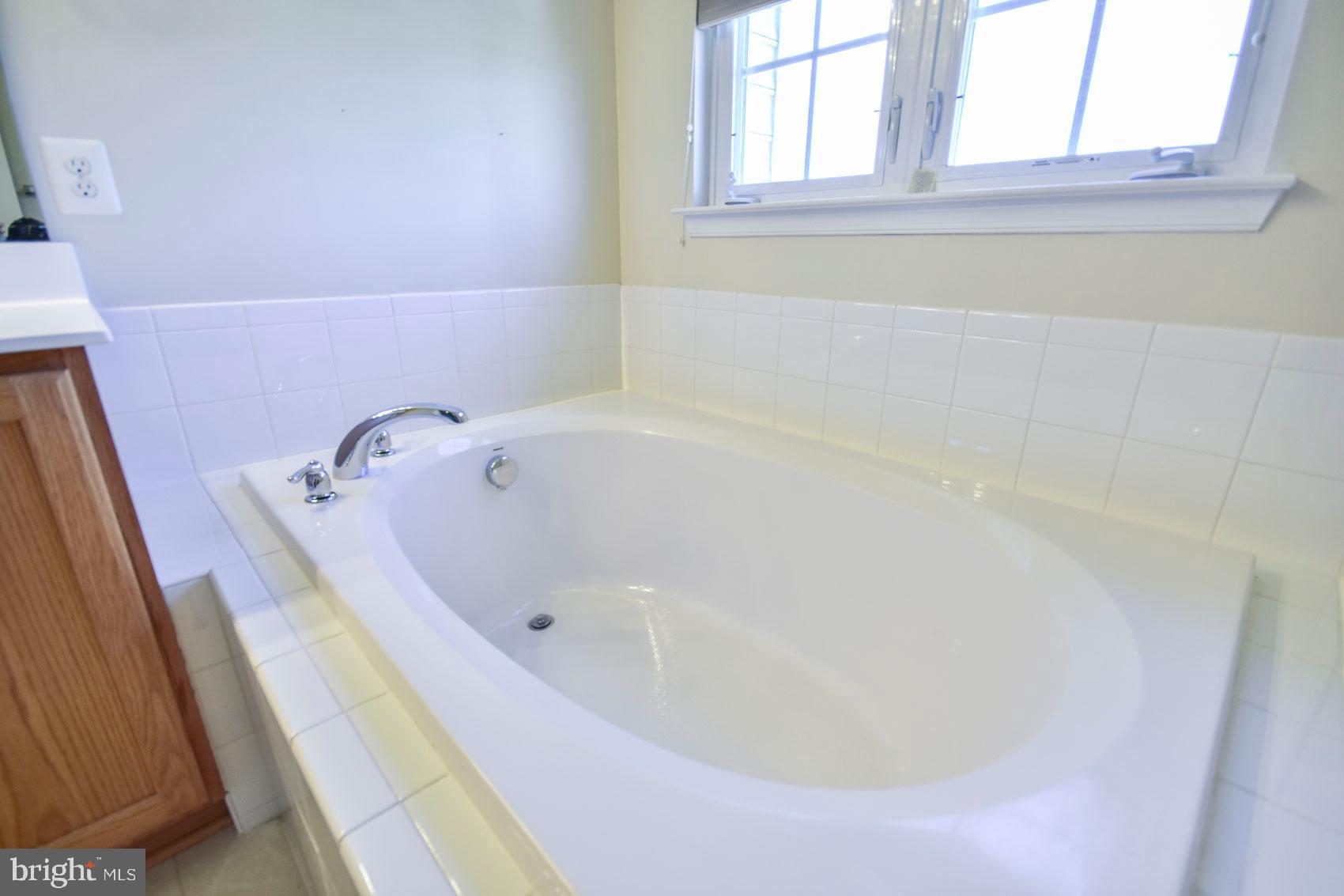 32 Lullwater Way Falling Waters, WV 25419 - Photo 26 of 37 soaking tub in master bath