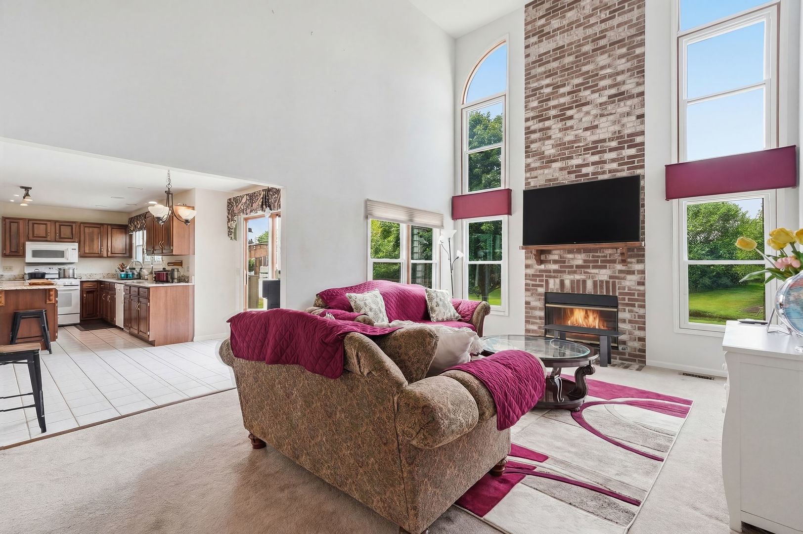930 Ripple Brook Lane Elgin, IL 60120 - Photo 5 of 43