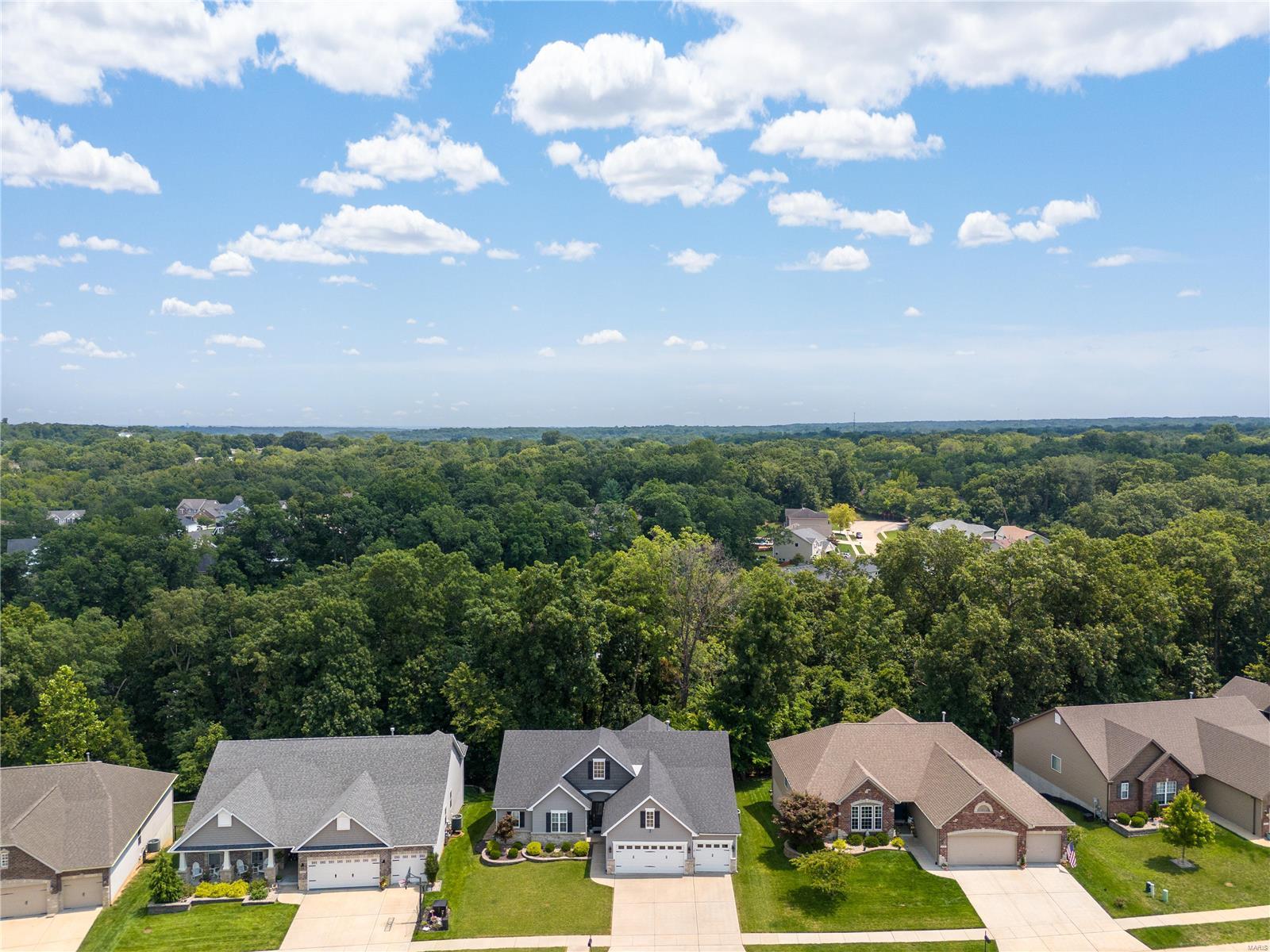1282 Spring Lilly Drive High Ridge, MO 63049 - Photo 73 of 73