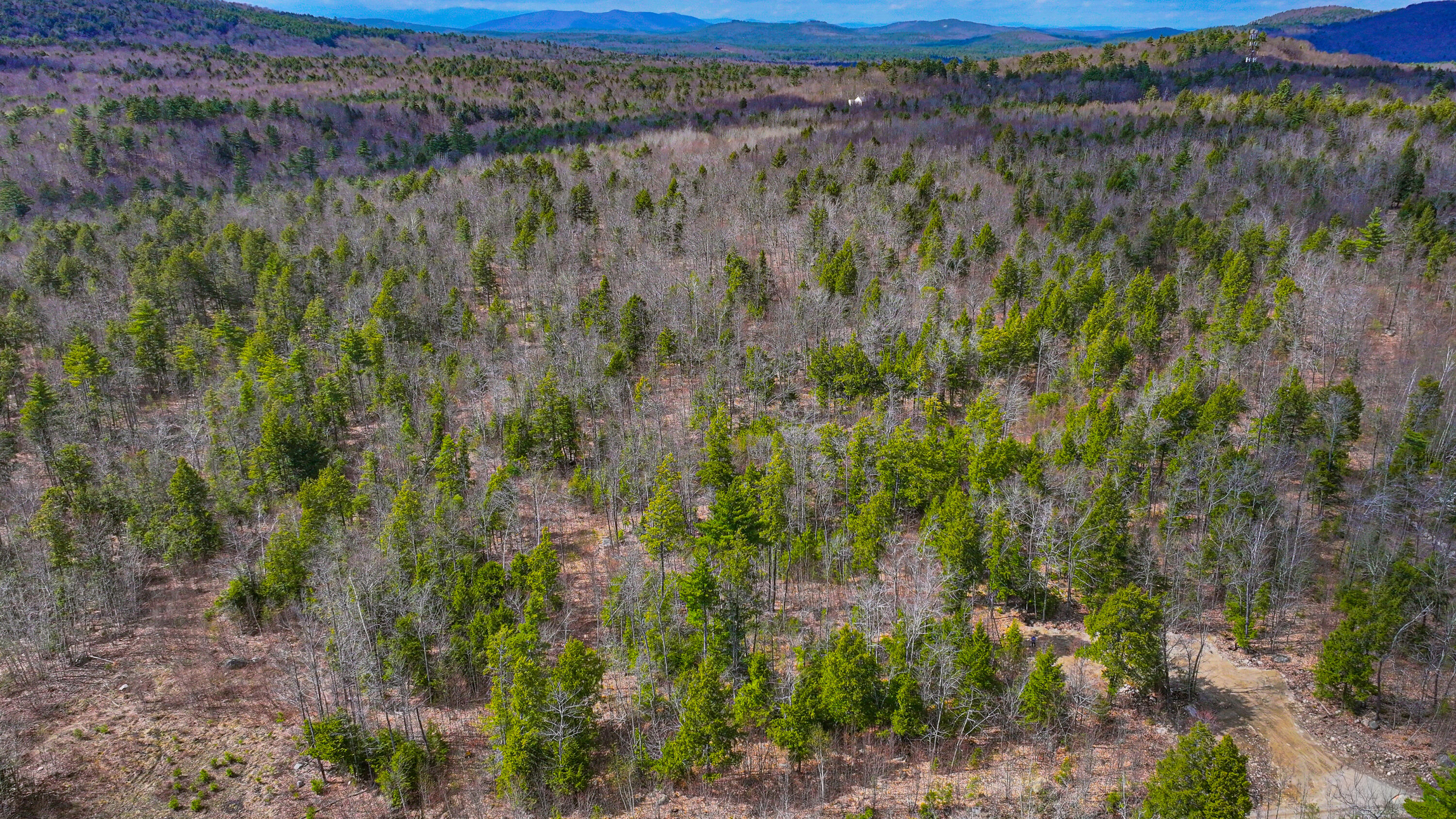 228 Murch Road East Baldwin, ME 04024 - Photo 10 of 14