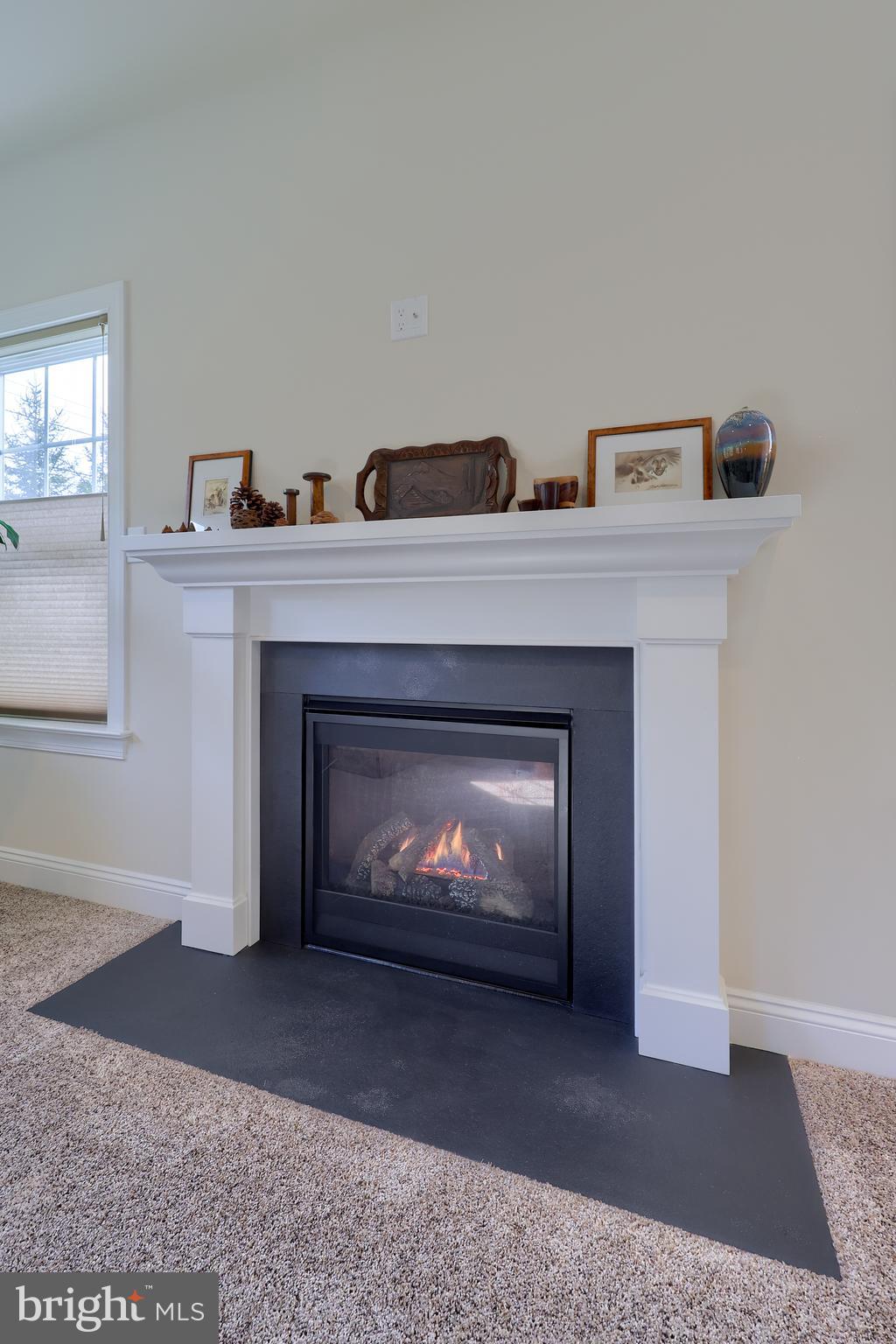 640 Warminster Lane Lititz, PA 17543 - Photo 28 of 57 a living room with furniture and a fireplace