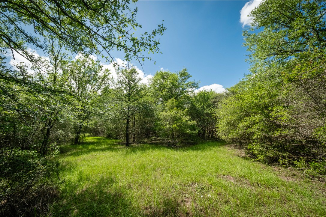 2199 Navasota Ridge Navasota, TX 77868 - Photo 12 of 30