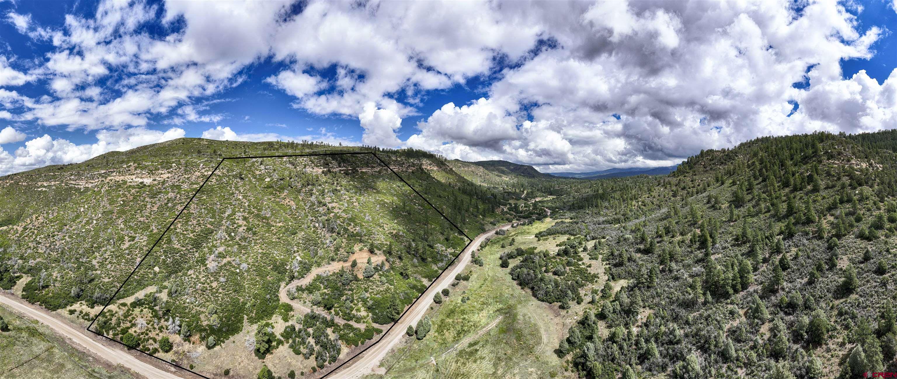 6727 Road 46 Mancos, CO 81328 - Photo 12 of 24 a view of a garden