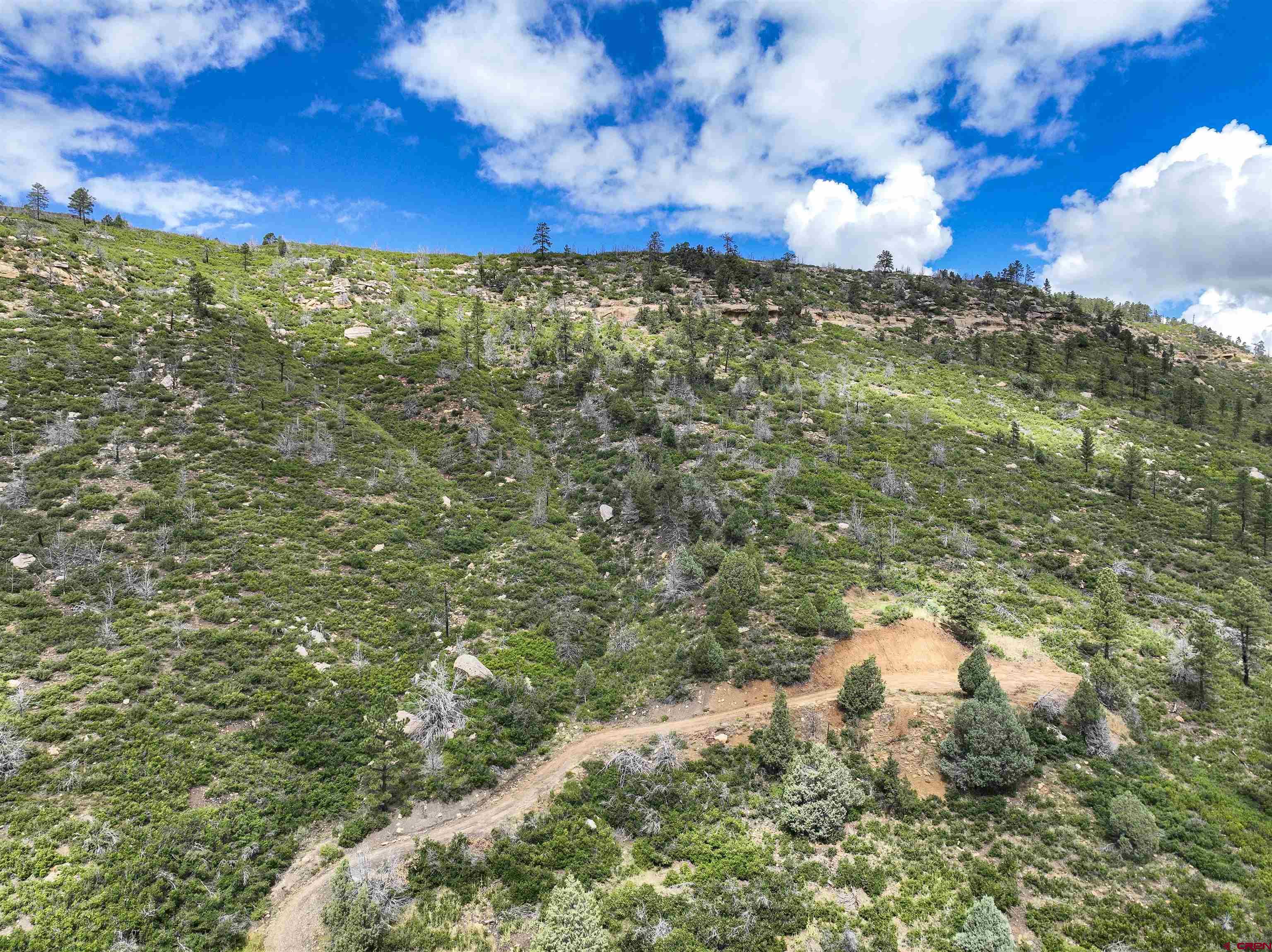6727 Road 46 Mancos, CO 81328 - Photo 14 of 24 a view of a yard