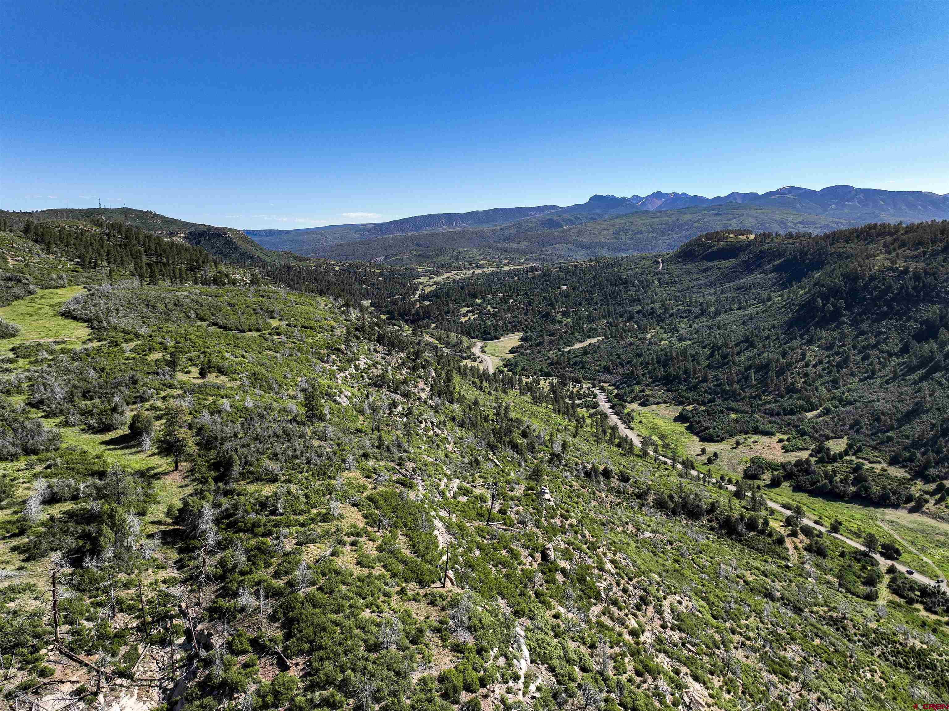 6727 Road 46 Mancos, CO 81328 - Photo 18 of 24 a view of a lush green hillside and a mountain view