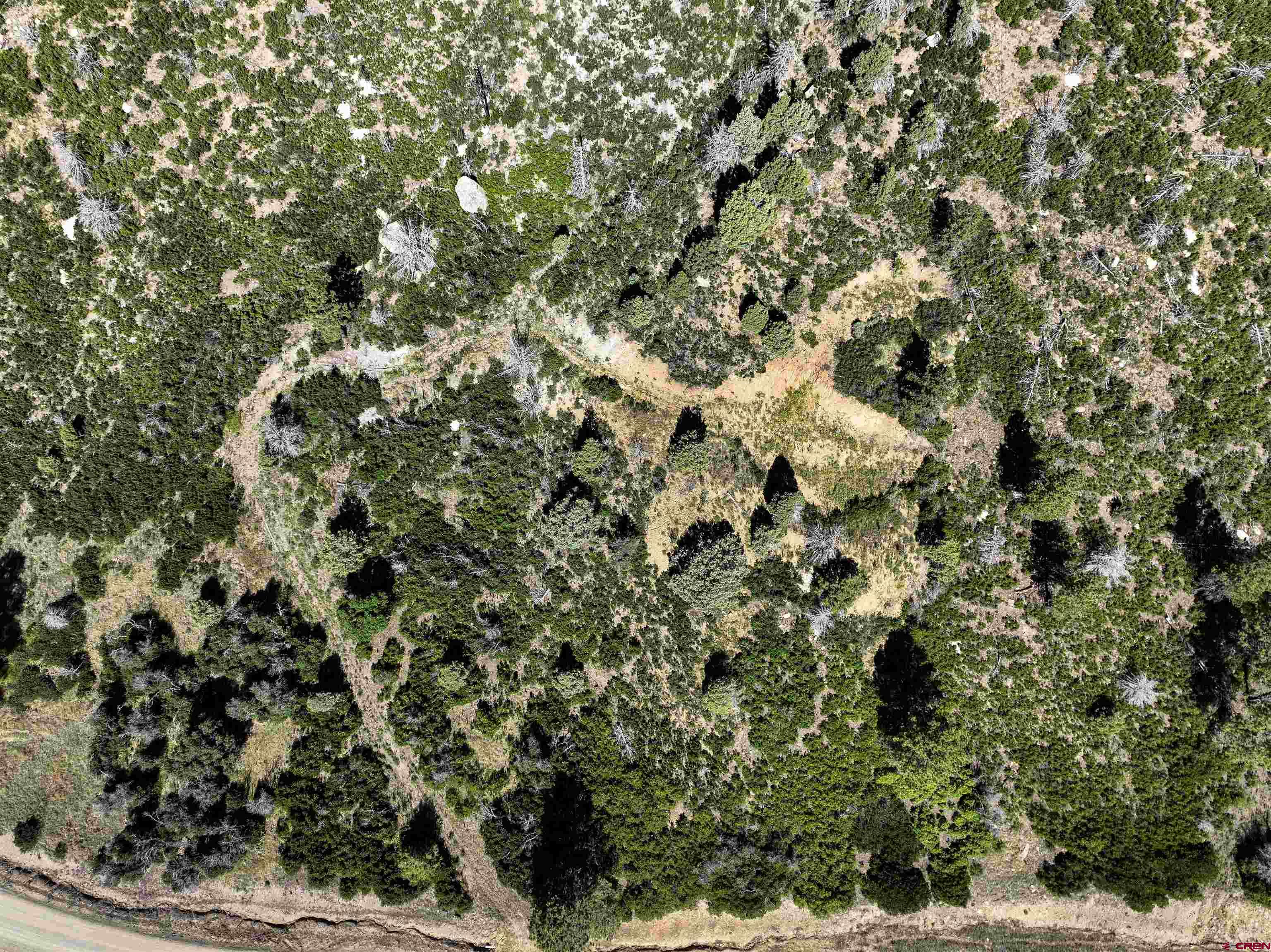 6727 Road 46 Mancos, CO 81328 - Photo 21 of 24 a view of a tree