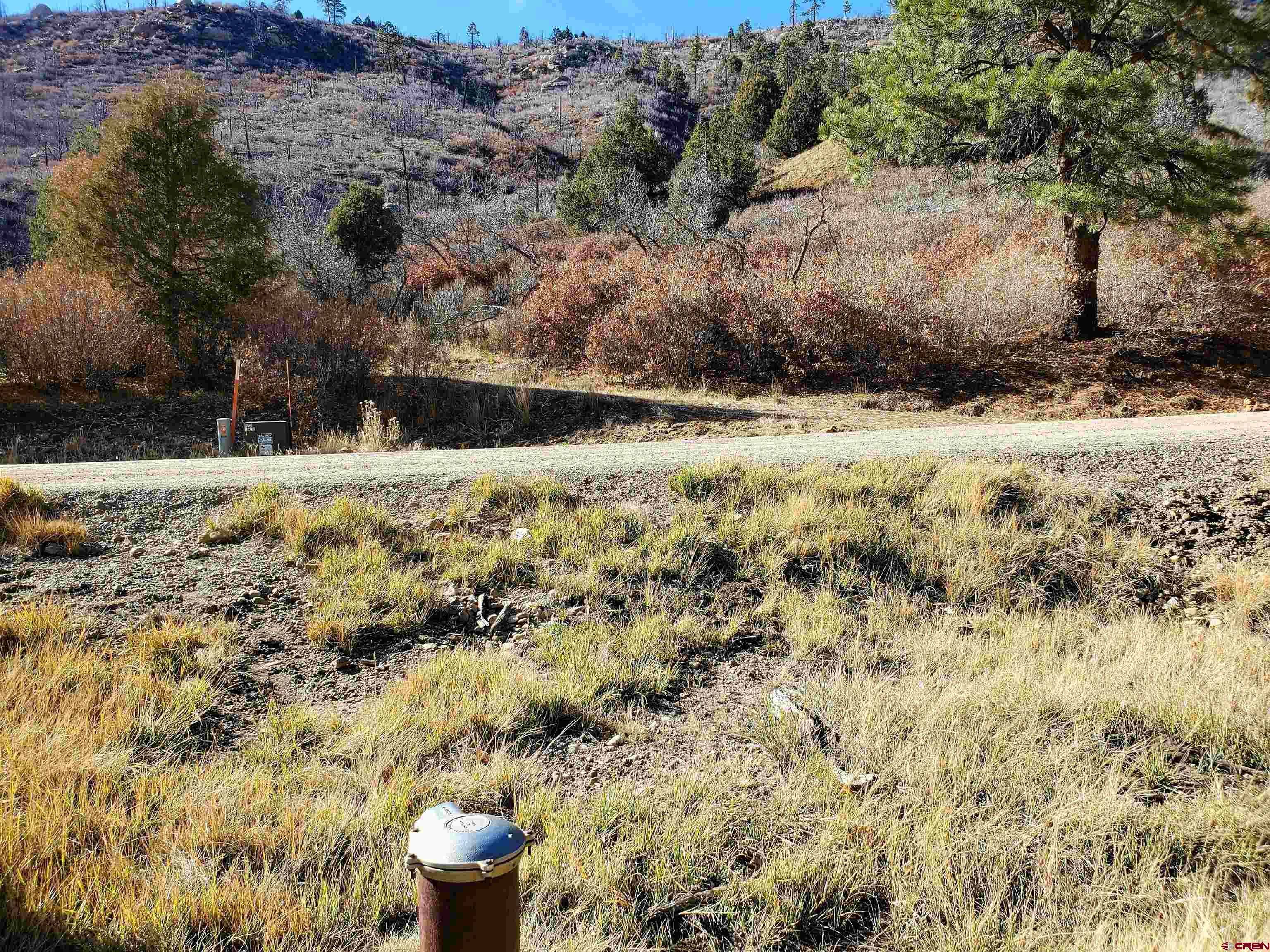 6727 Road 46 Mancos, CO 81328 - Photo 22 of 24 a view of a yard with large trees