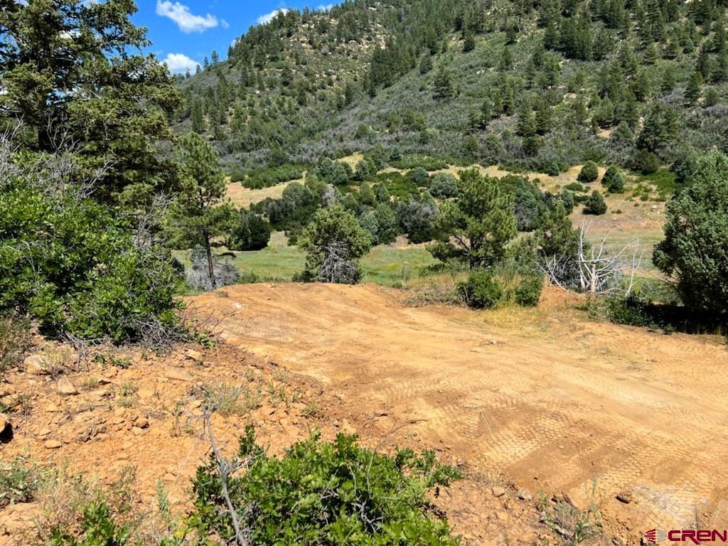 6727 Road 46 Mancos, CO 81328 - Photo 3 of 24 a view of a yard with a tree