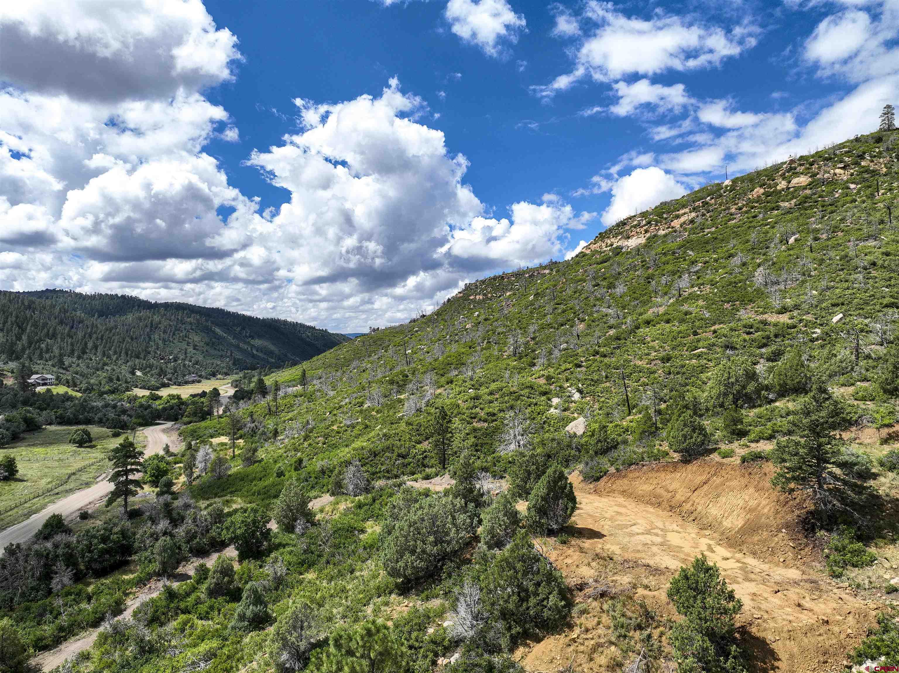 6727 Road 46 Mancos, CO 81328 - Photo 6 of 24 a view of a bunch of trees and flowers