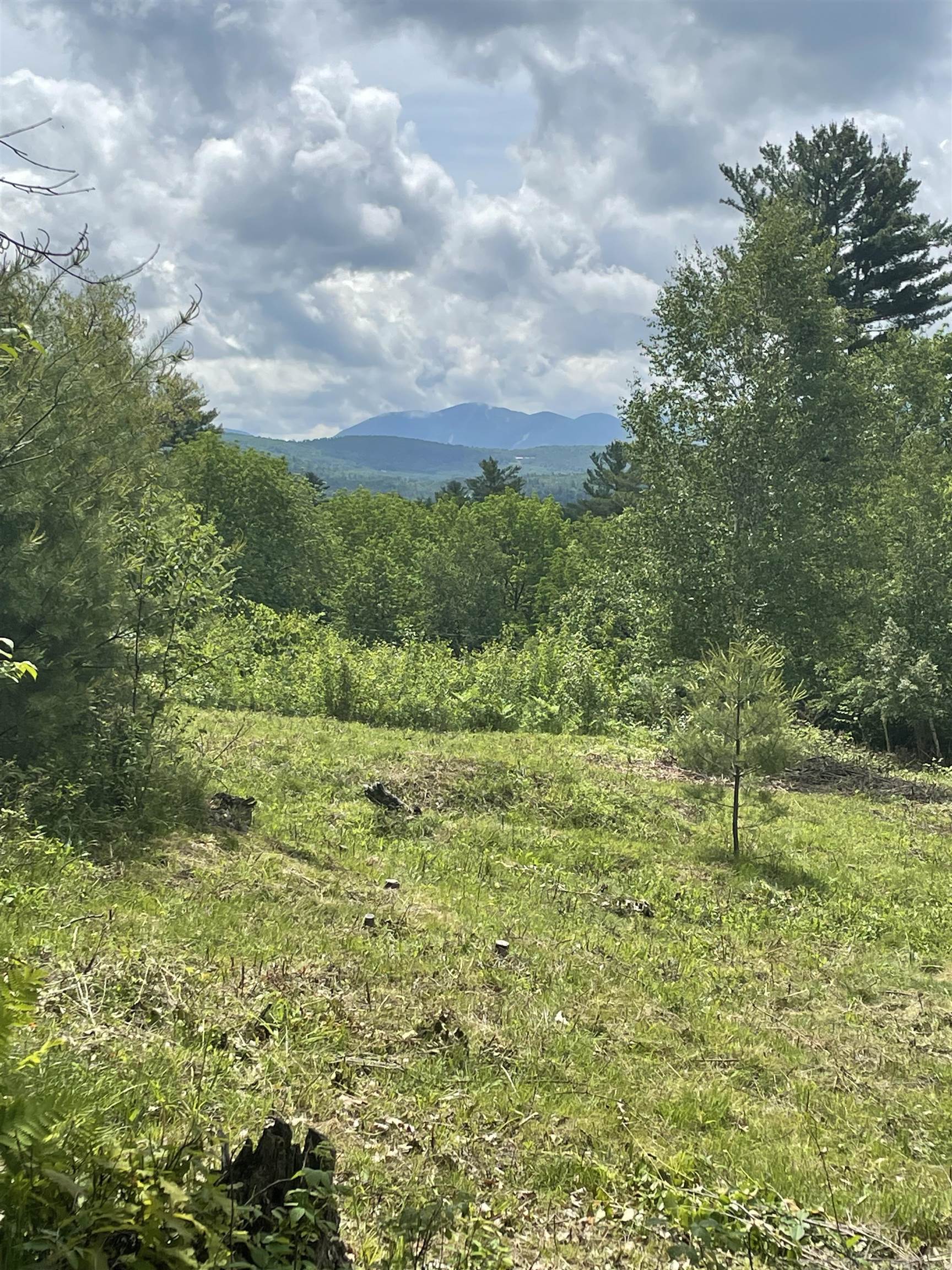 0 Manns Hill Road Littleton, NH 03561 - Photo 1 of 10