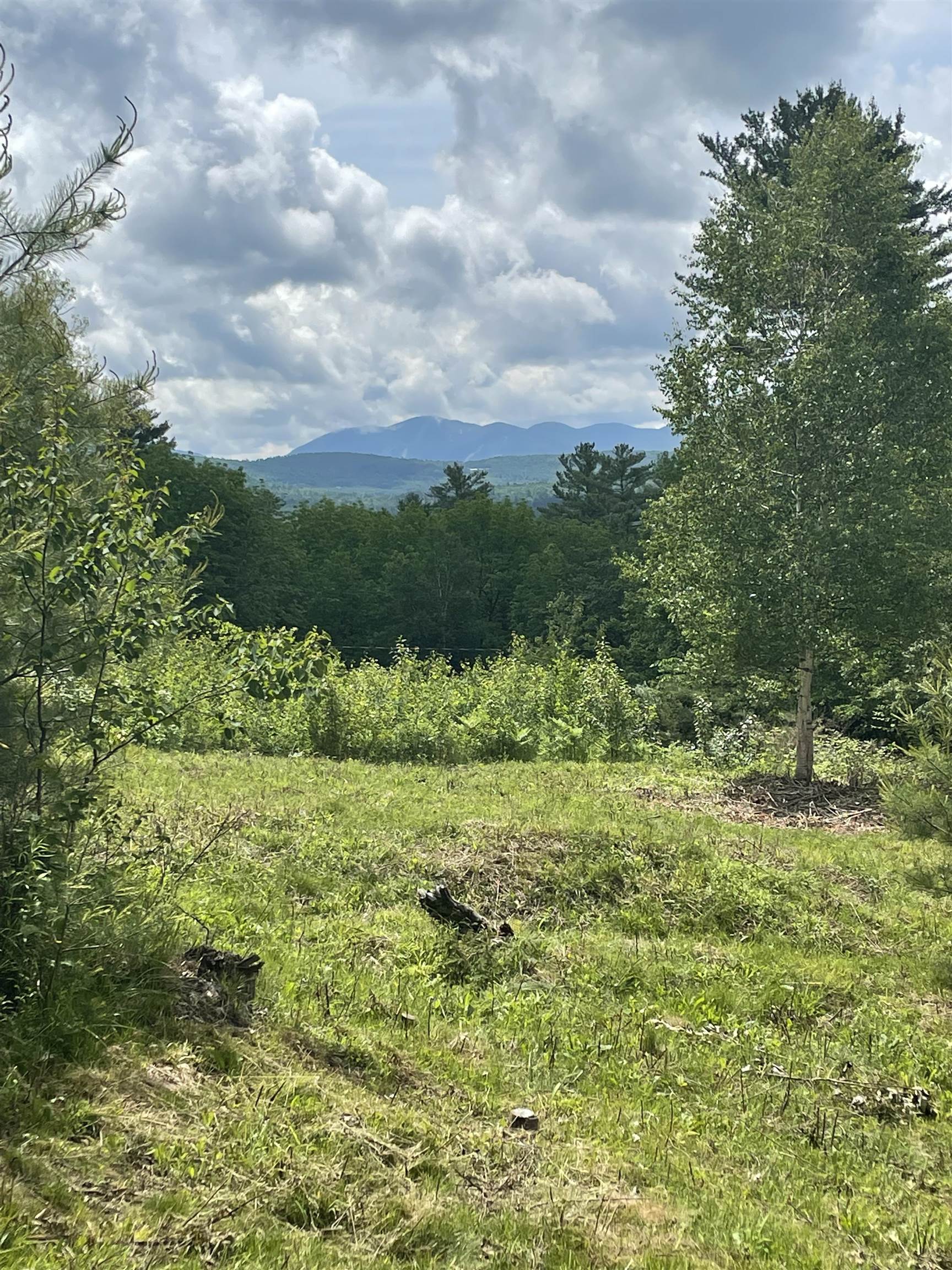 0 Manns Hill Road Littleton, NH 03561 - Photo 2 of 10