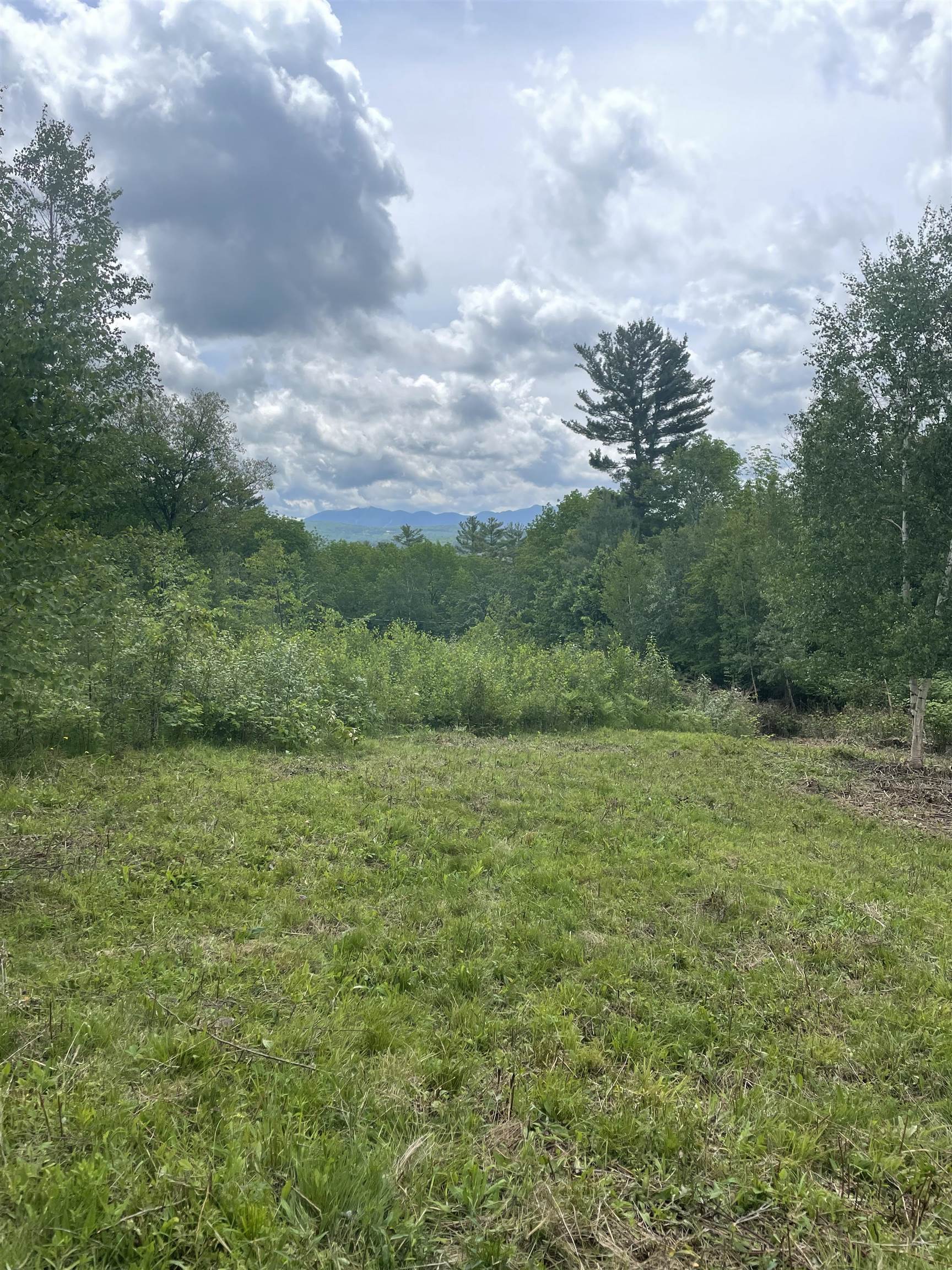 0 Manns Hill Road Littleton, NH 03561 - Photo 4 of 10
