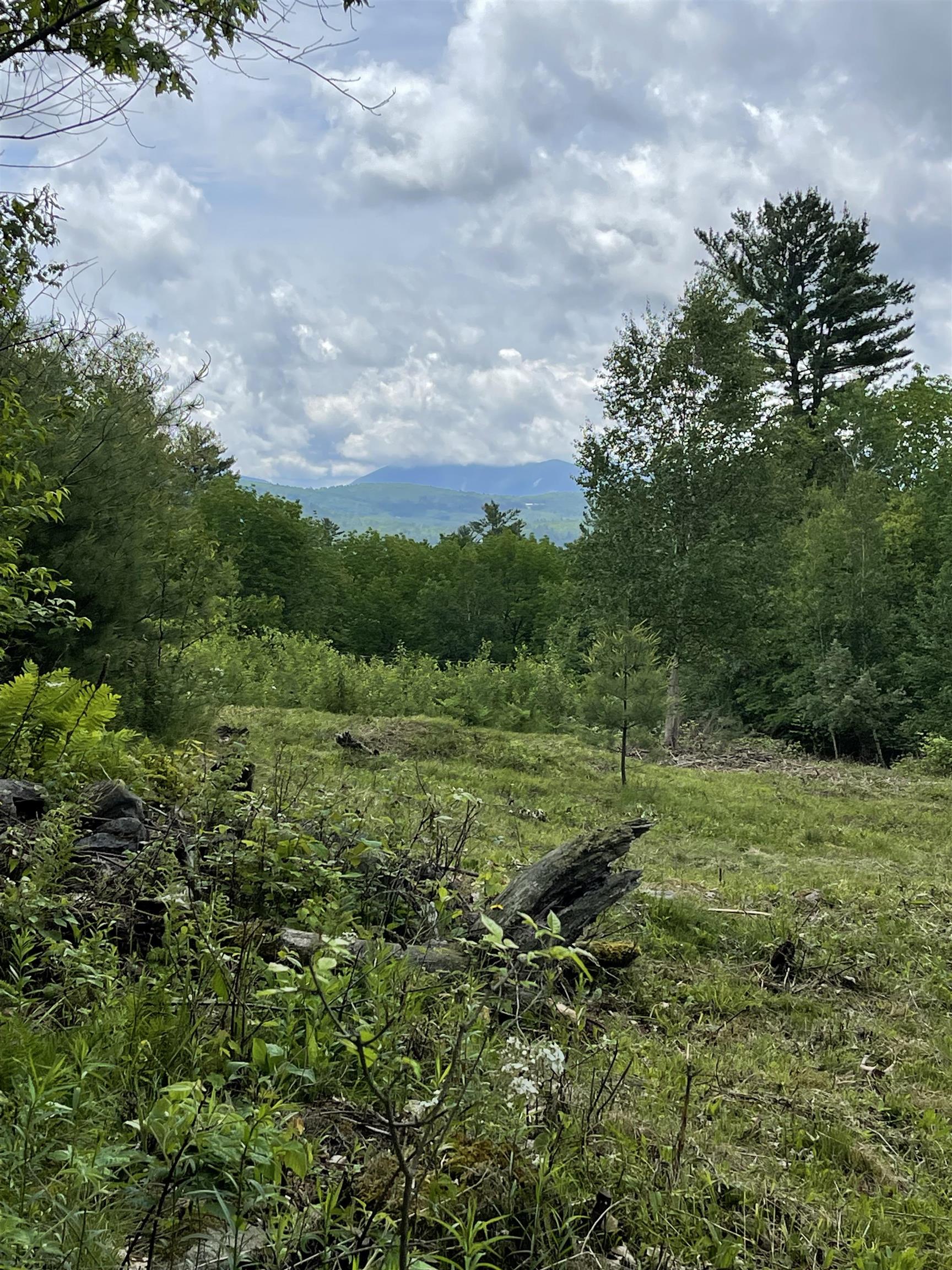 0 Manns Hill Road Littleton, NH 03561 - Photo 6 of 10