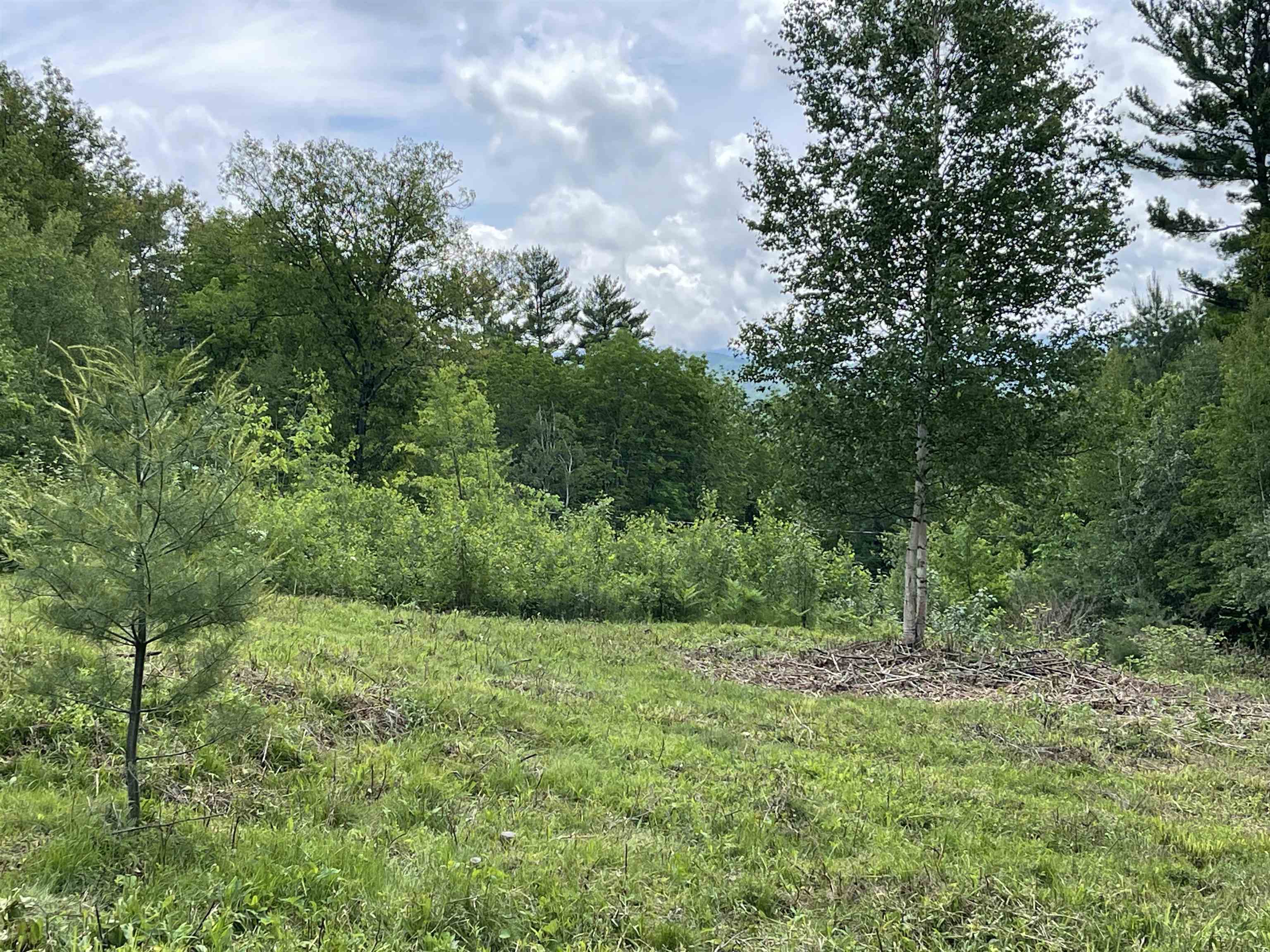 0 Manns Hill Road Littleton, NH 03561 - Photo 8 of 10
