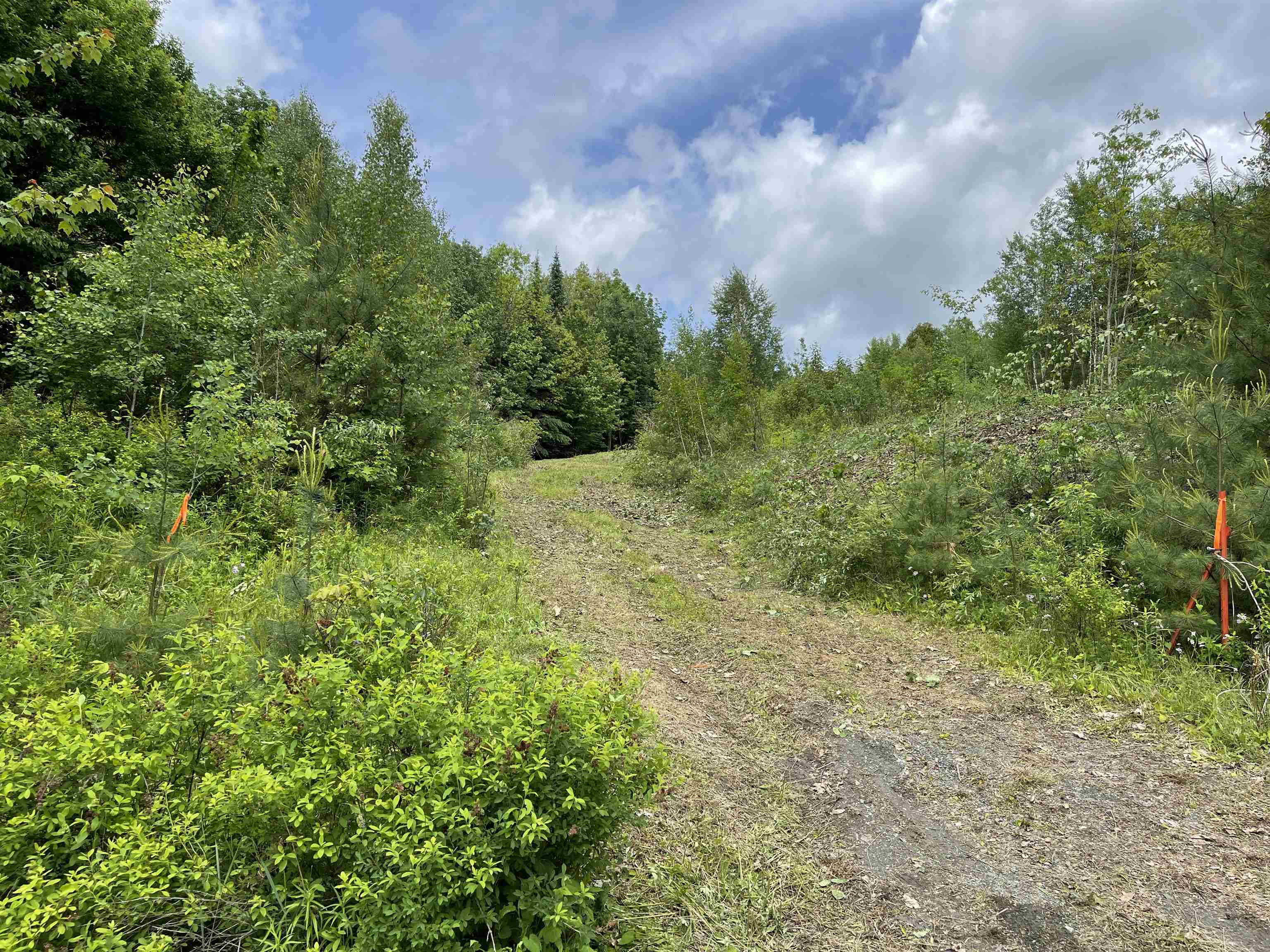 0 Manns Hill Road Littleton, NH 03561 - Photo 9 of 10