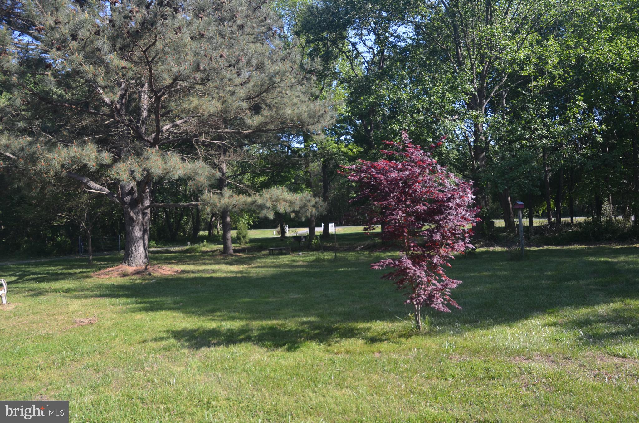 105 Sandbox Road Harrington, DE 19952 - Photo 8 of 24 Gallery Image 8