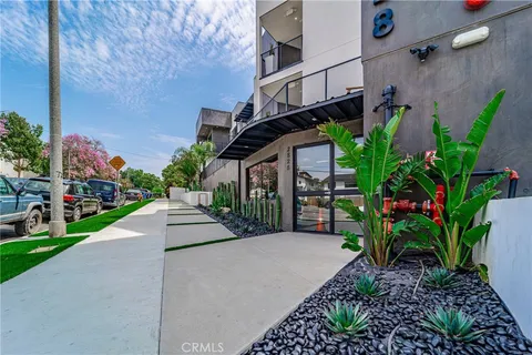 a view of a street with plants