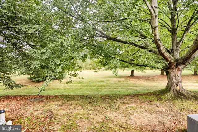 a view of a yard with an trees