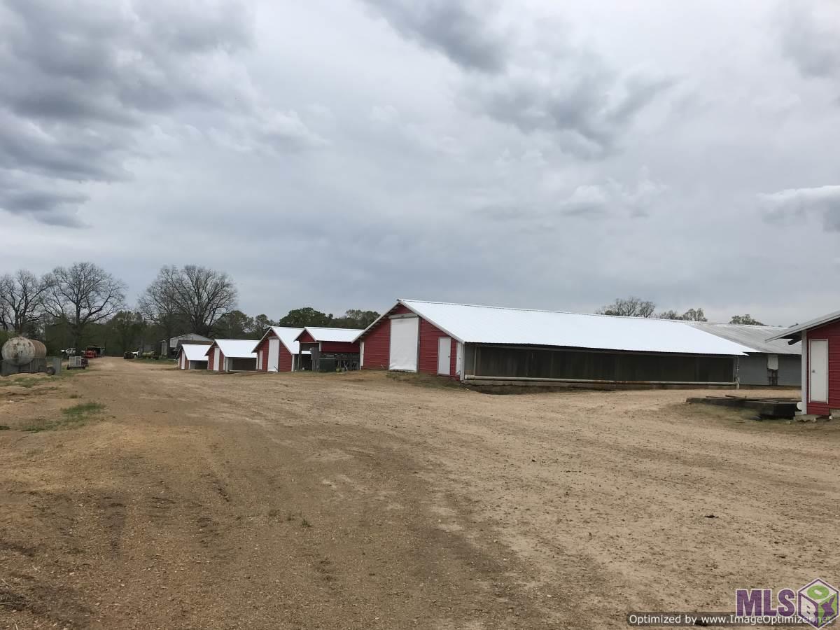 2081 Swilley Road Wesson, MS 39191 - Photo 1 of 1