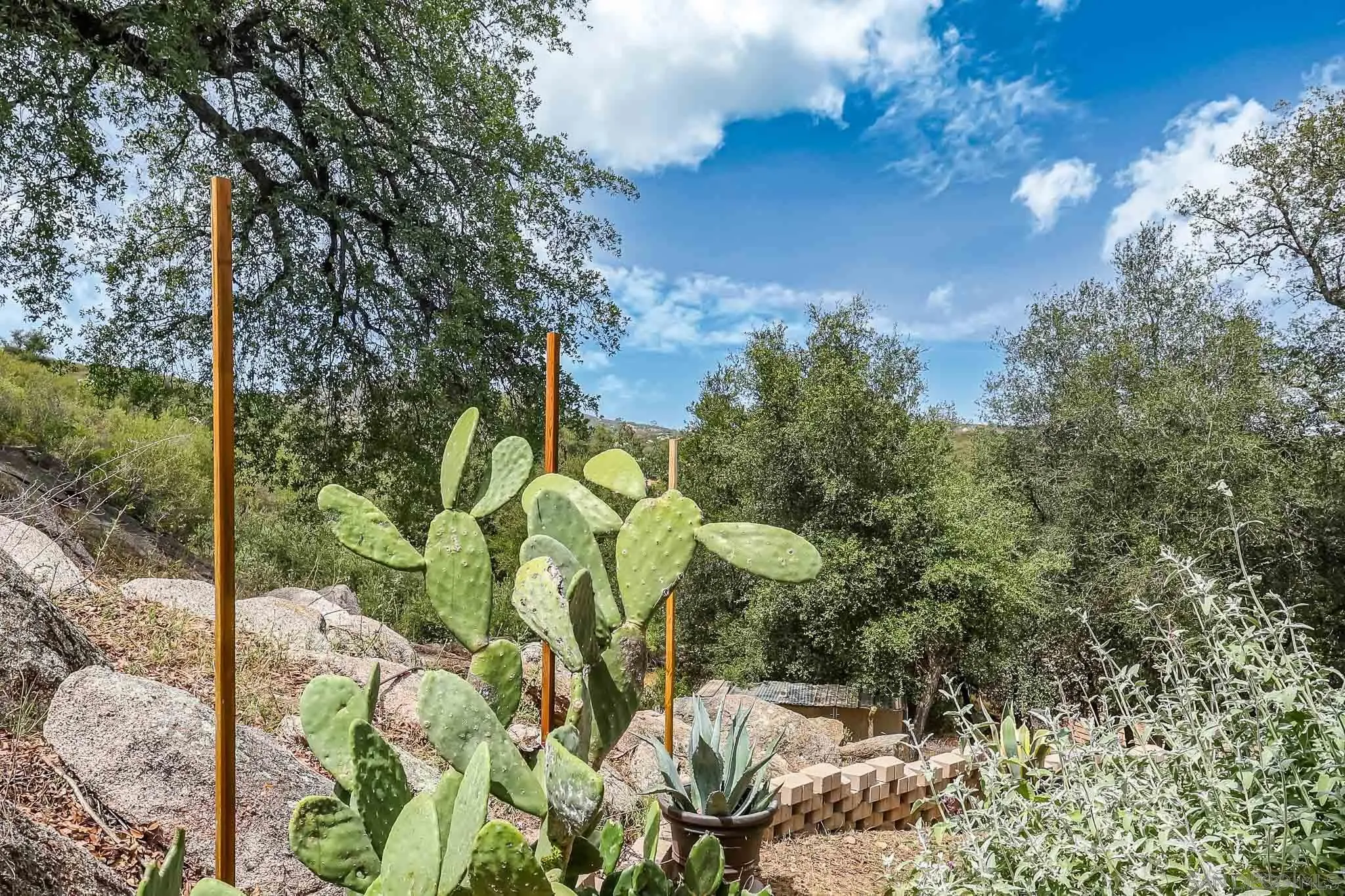 20841 Deerhorn Valley Road Jamul, CA 91935 - Photo 41 of 56