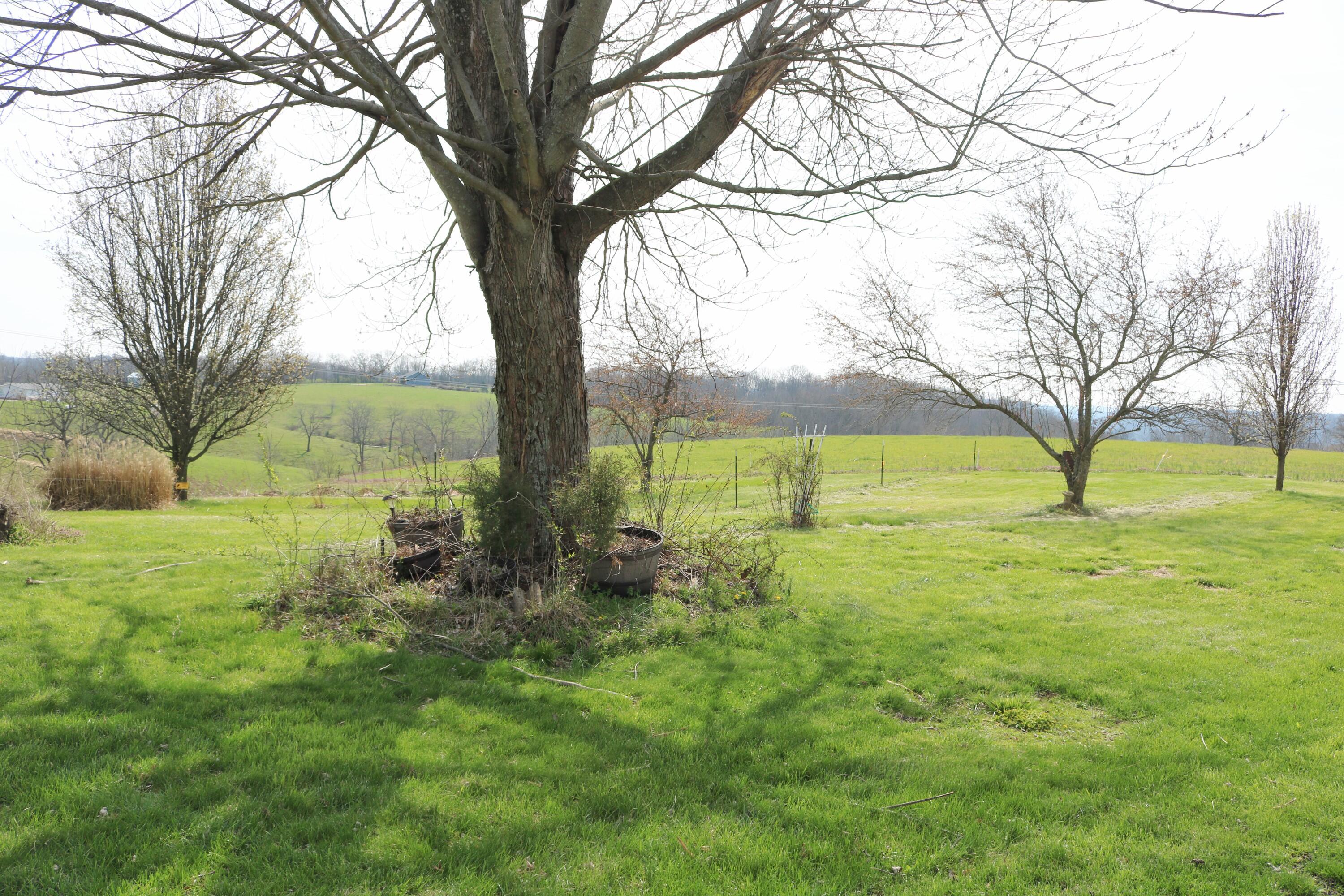 1305 Bethel Ridge Road Worthville, KY 41098 - Photo 6 of 21