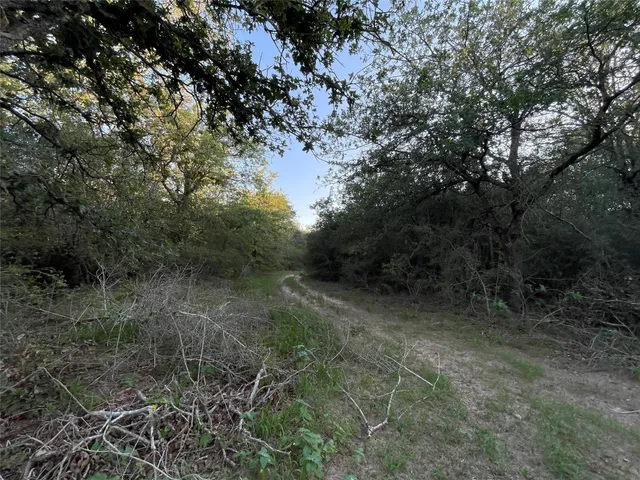 $440,000 | 0 Mule Creek Road, Harwood, TX 78632