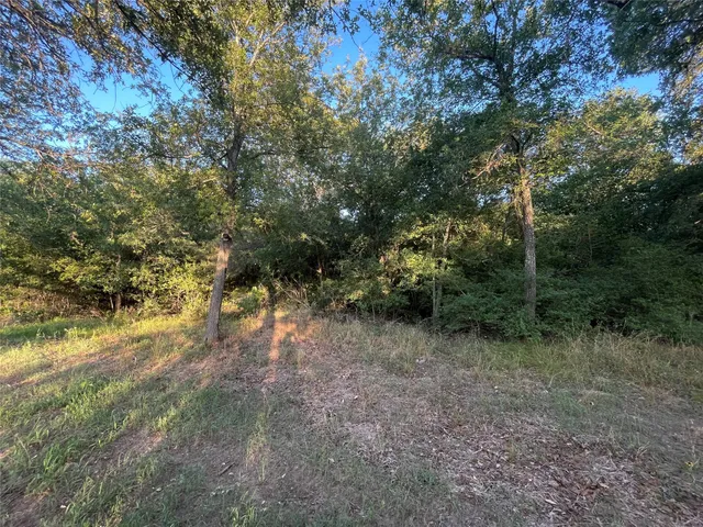 $440,000 | 0 Mule Creek Road, Harwood, TX 78632