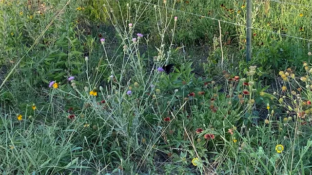 $440,000 | 0 Mule Creek Road, Harwood, TX 78632