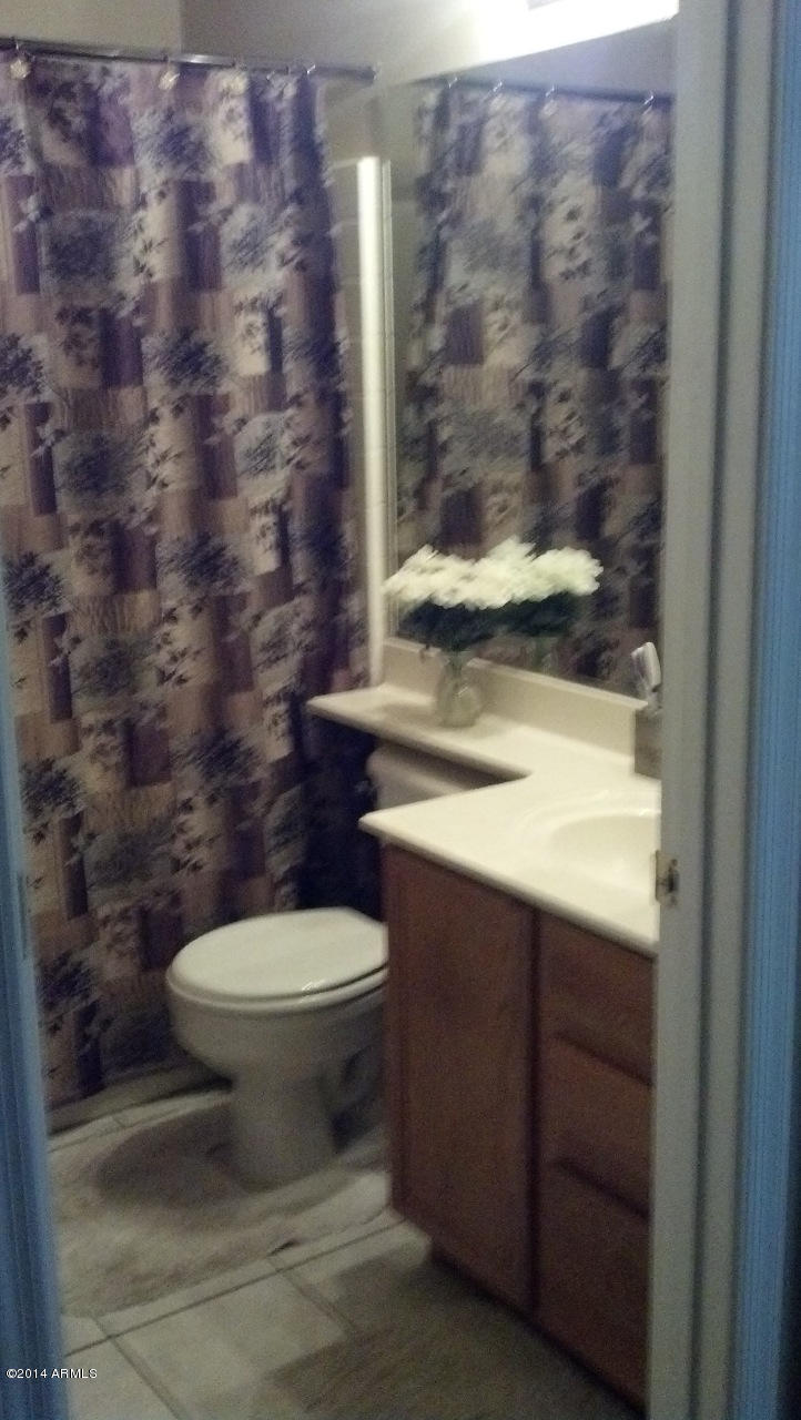 198 West Del Rio Street Gilbert, AZ 85233 - Photo 13 of 20 13