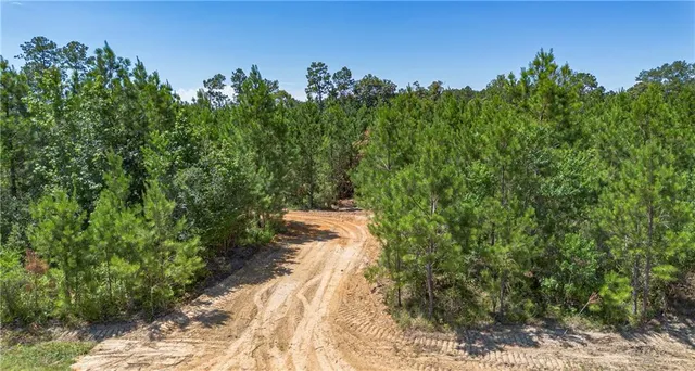 $248,900 | Lot A Ten Mile Road, Pitkin, LA 70656
