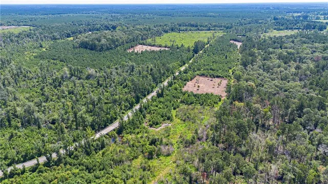 $248,900 | Lot A Ten Mile Road, Pitkin, LA 70656