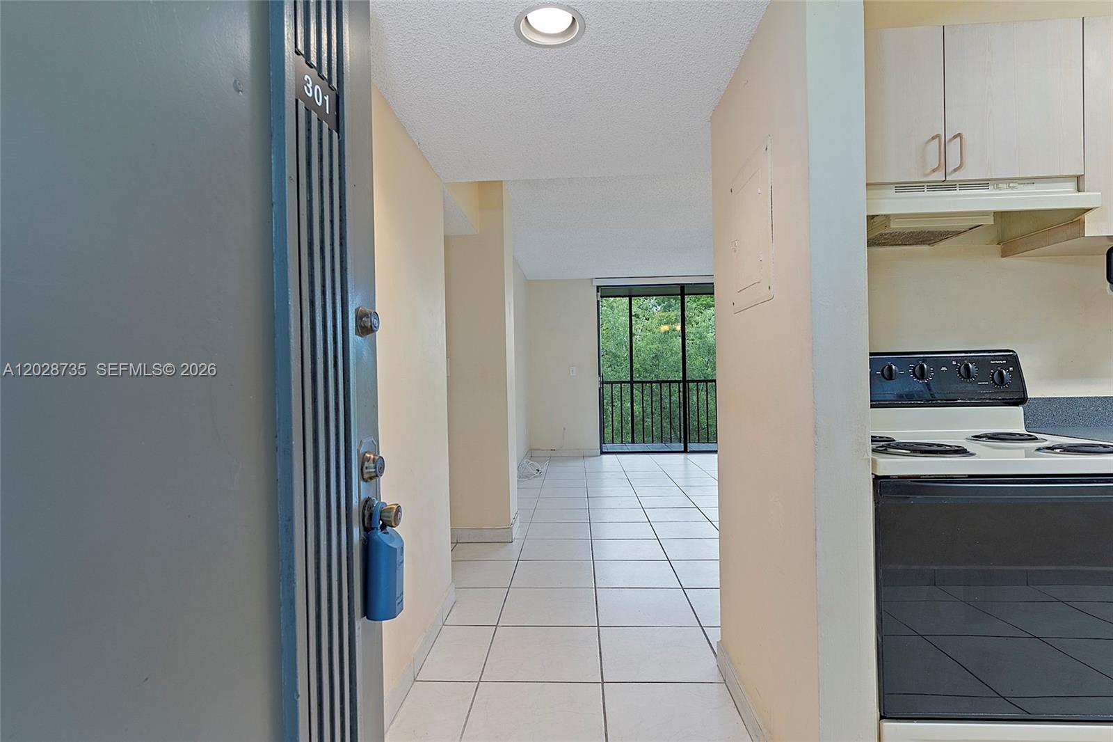 8760 Southwest 133rd Avenue Road, Unit 301 Miami, FL 33183 - Photo 3 of 32