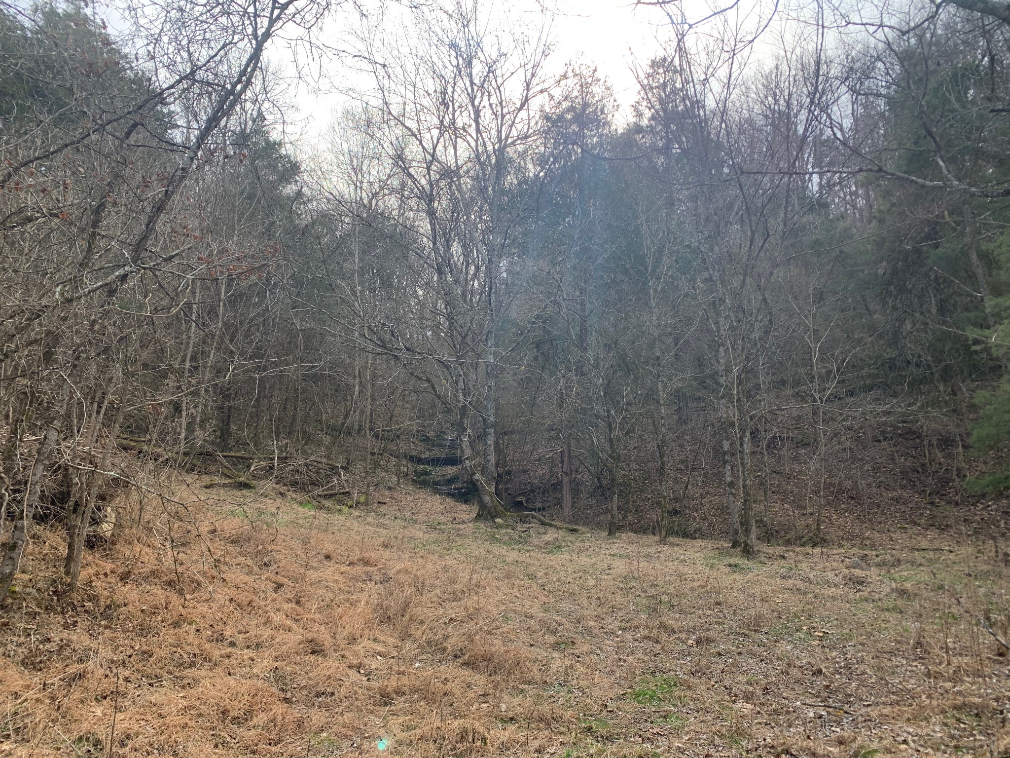 1 Oakley Road Liberty, TN 37095 - Photo 5 of 15 a view of a backyard of the house