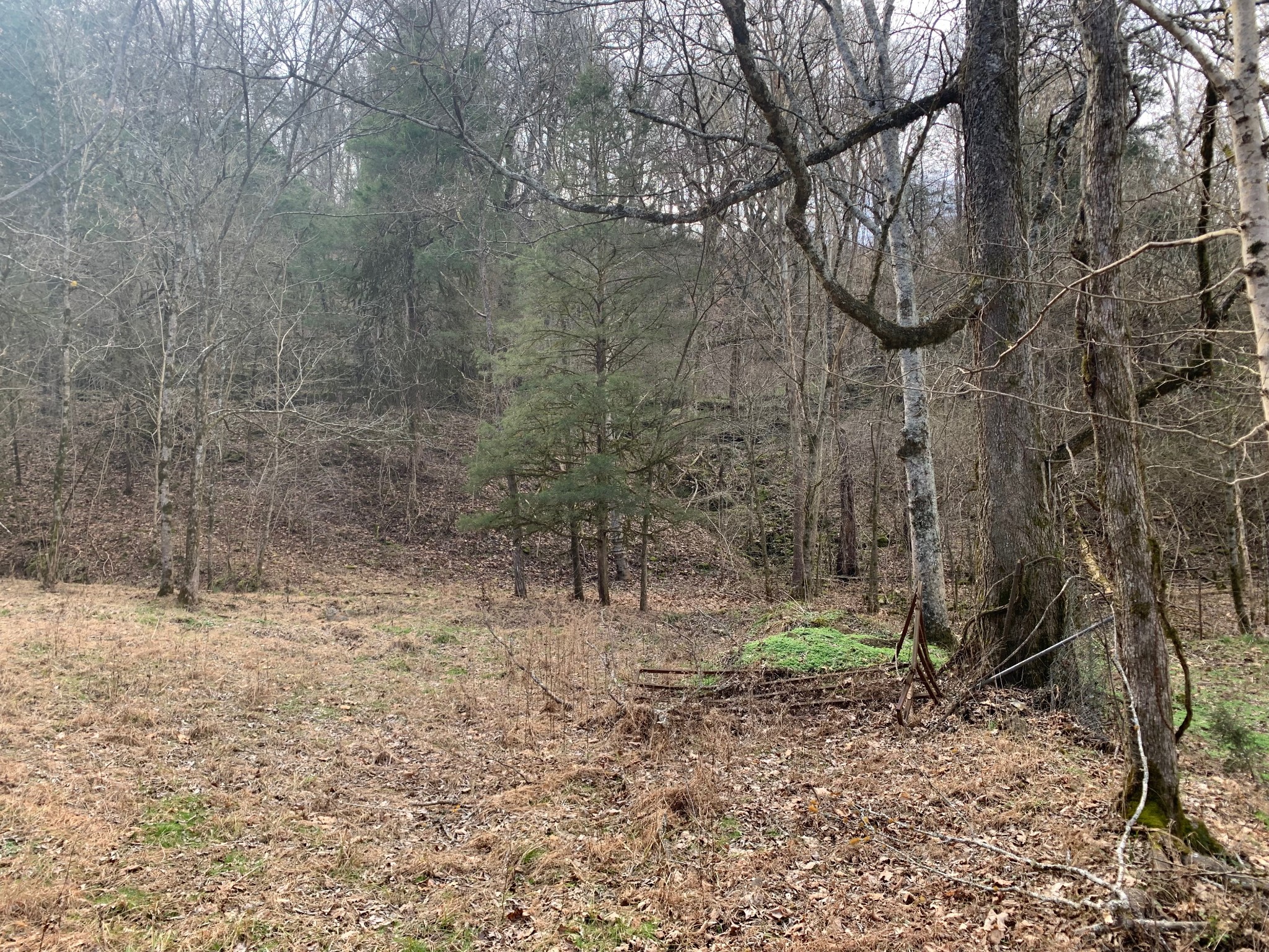 1 Oakley Road Liberty, TN 37095 - Photo 6 of 15 a backyard of a house with lots of green space